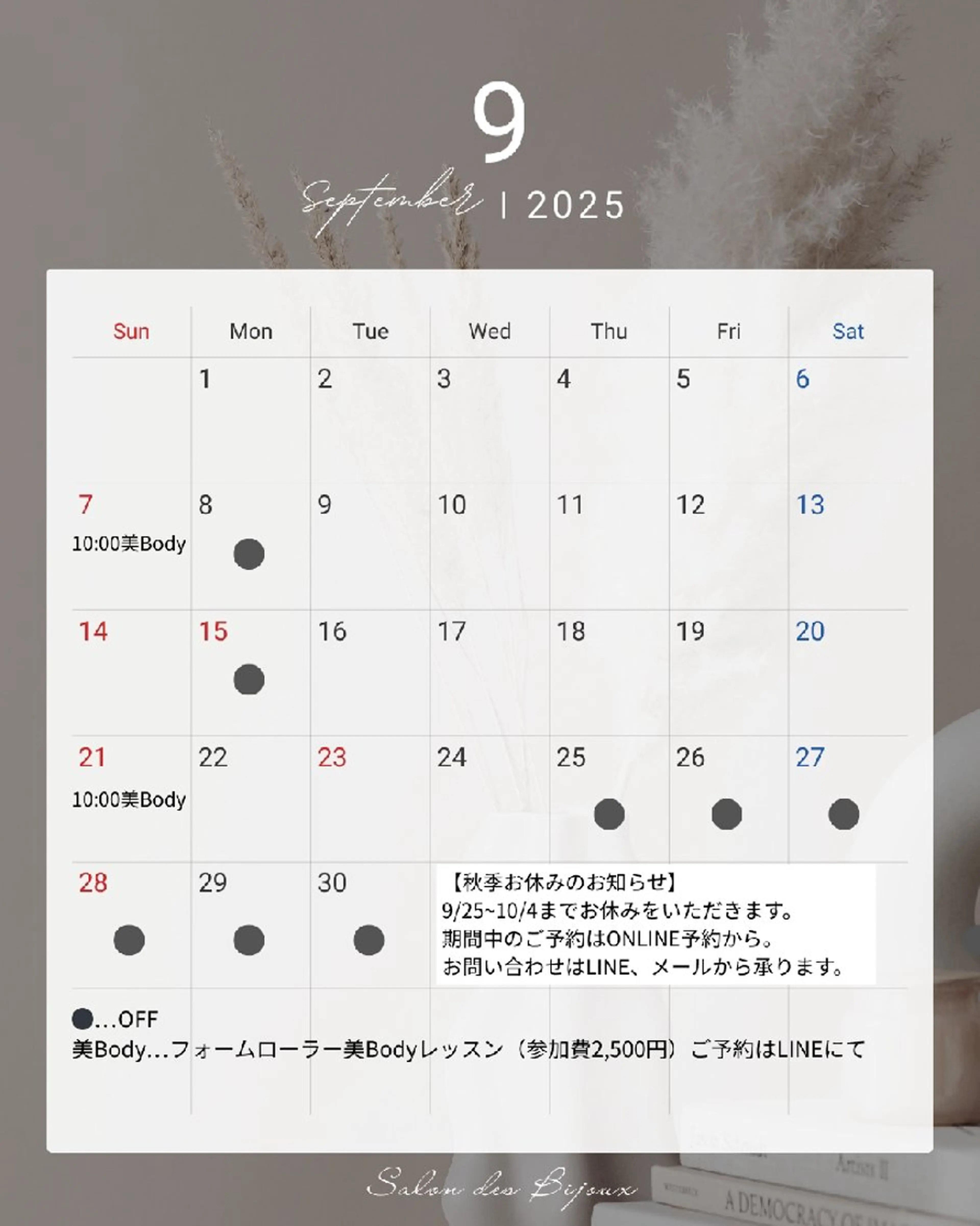 サロンドビジュー 齊藤まさみの眉毛・アイブロウイメージ