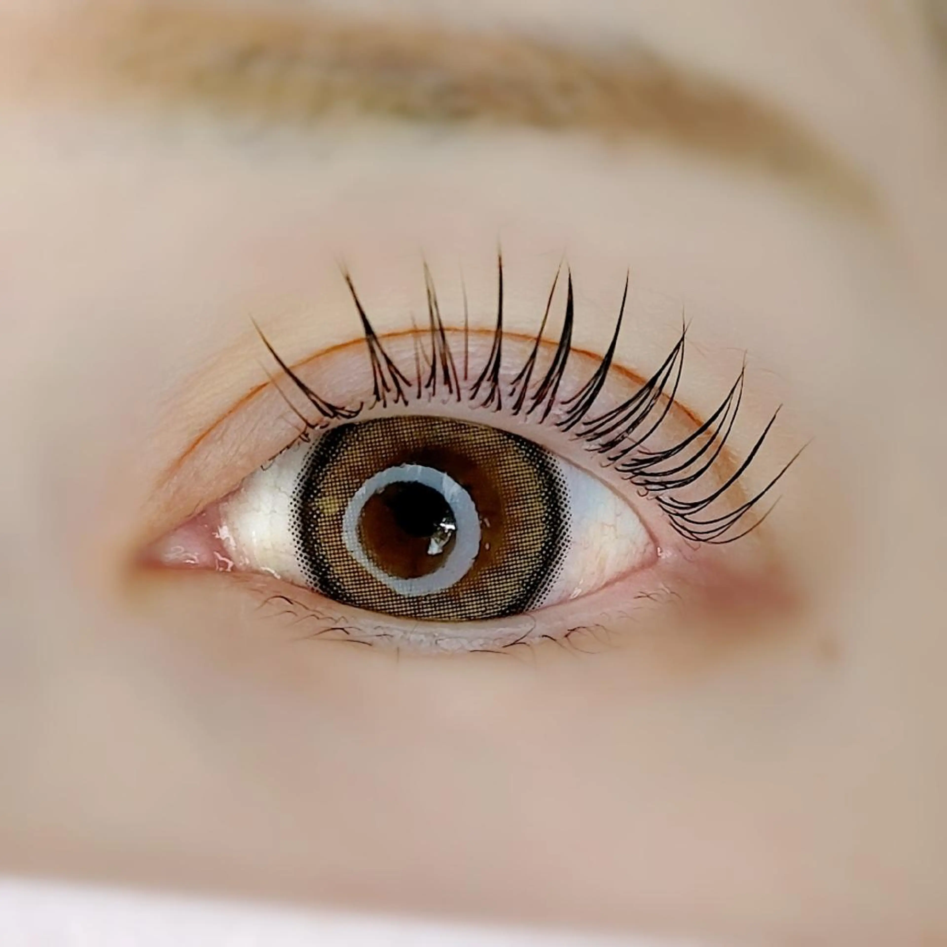 マツエク・マツパ 平山 ゆりのマツエク・マツパデザイン