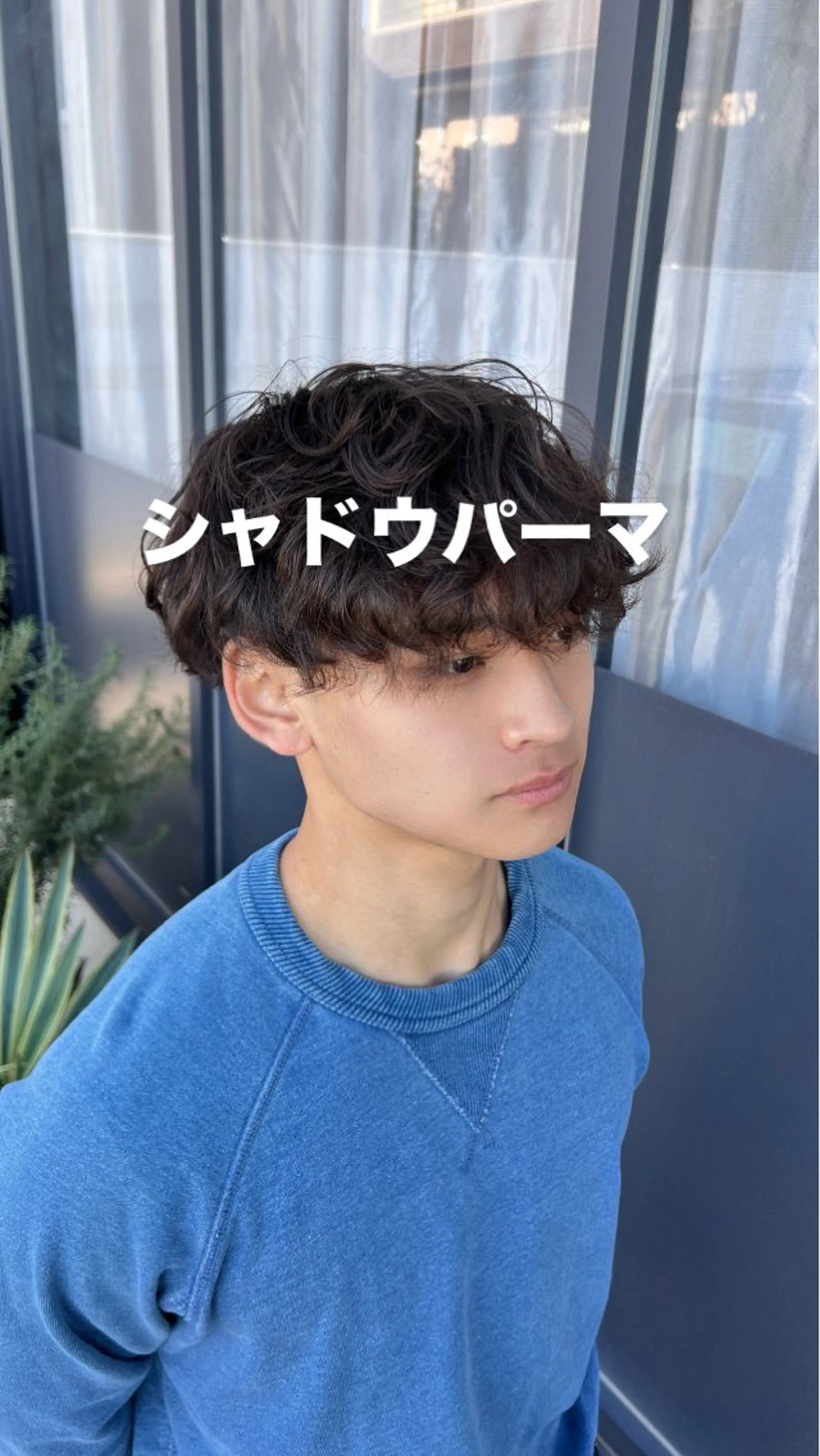 パーマ メンズ 志田 ほん/ メンズパーマのヘアスタイル