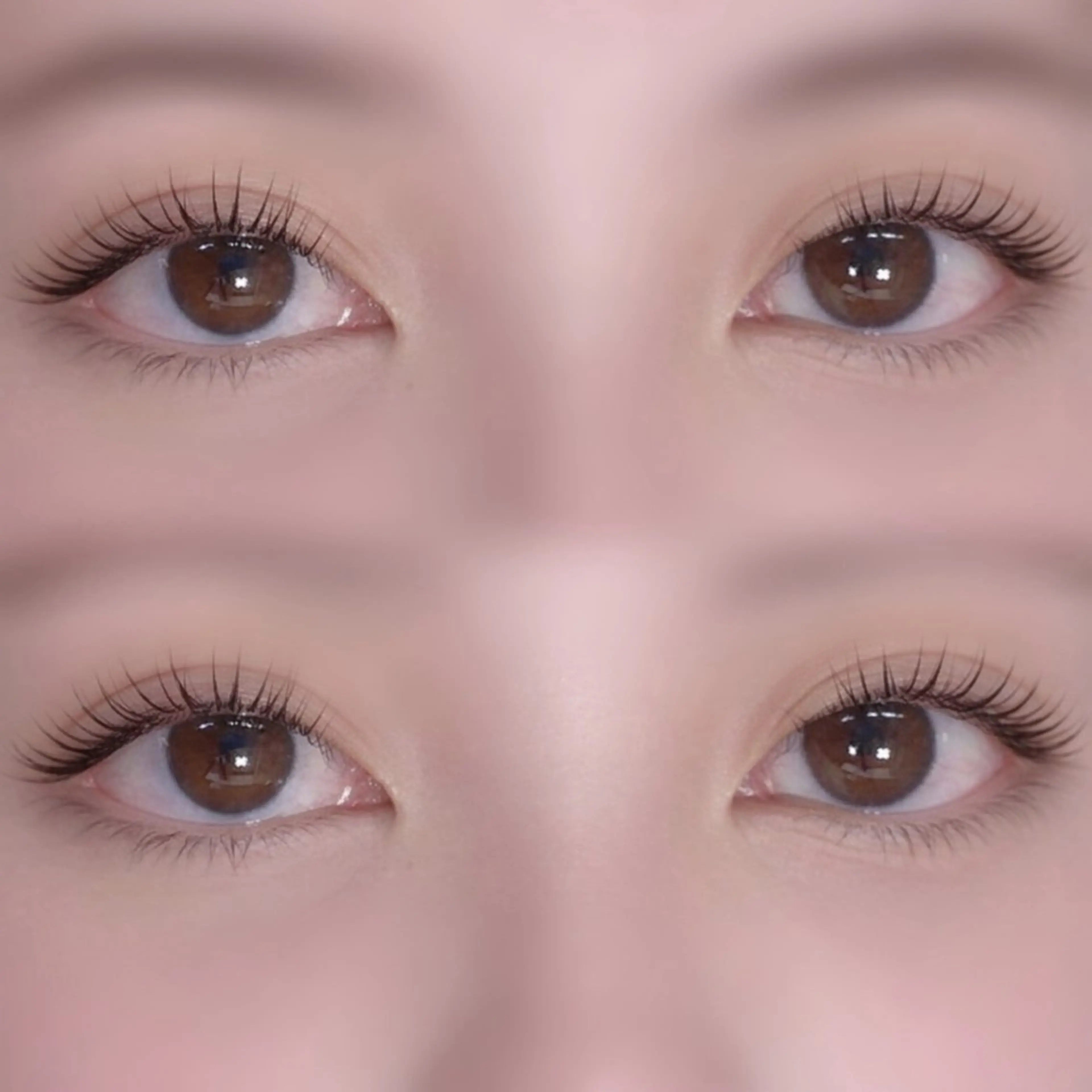 マツエク・マツパ マツパ rich  to 三田のマツエク・マツパデザイン