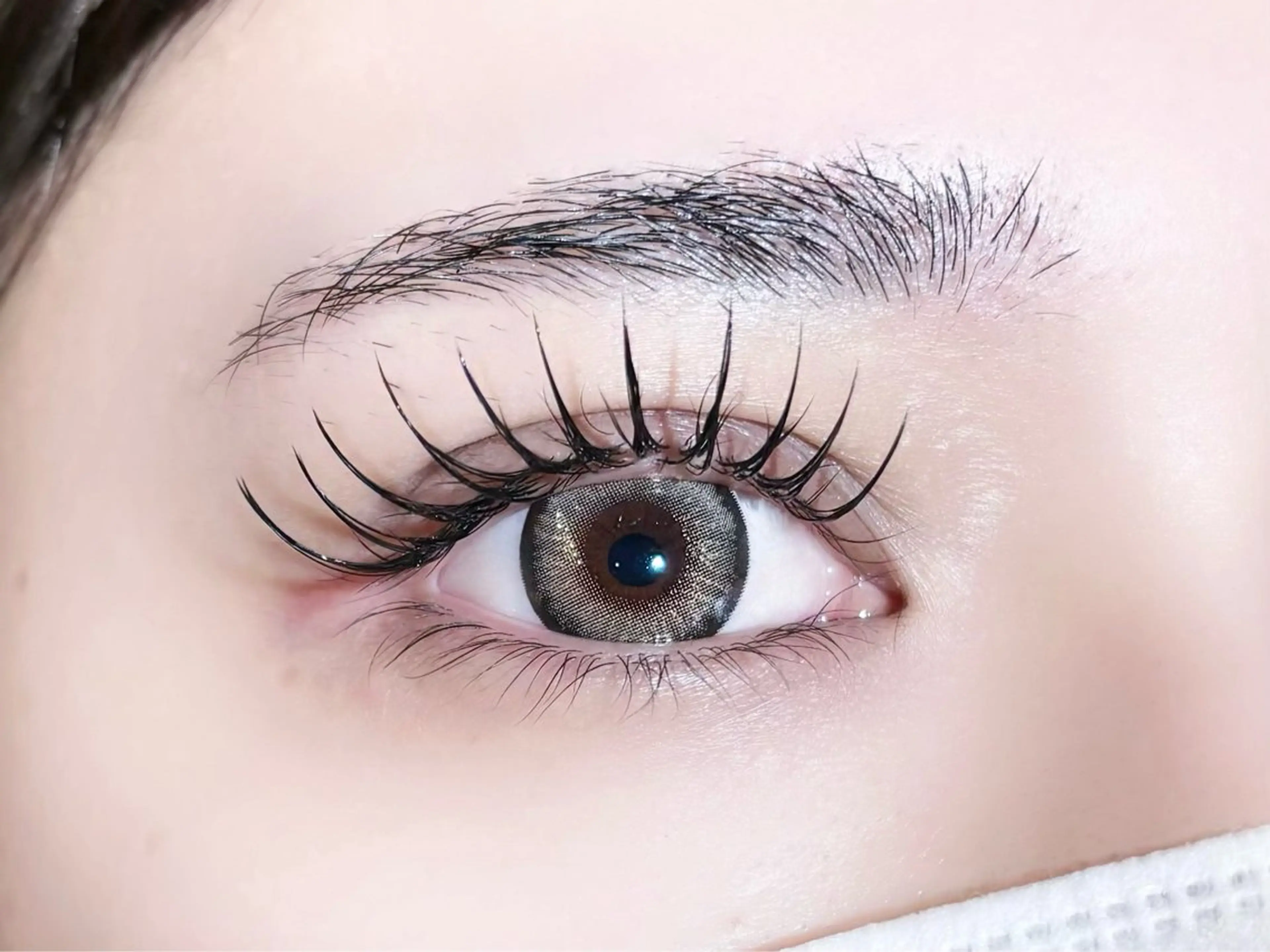 フラットラッシュ120本(ブラウン+500円) 付け替えオフ無料(LEDオフ+550円 )の写真