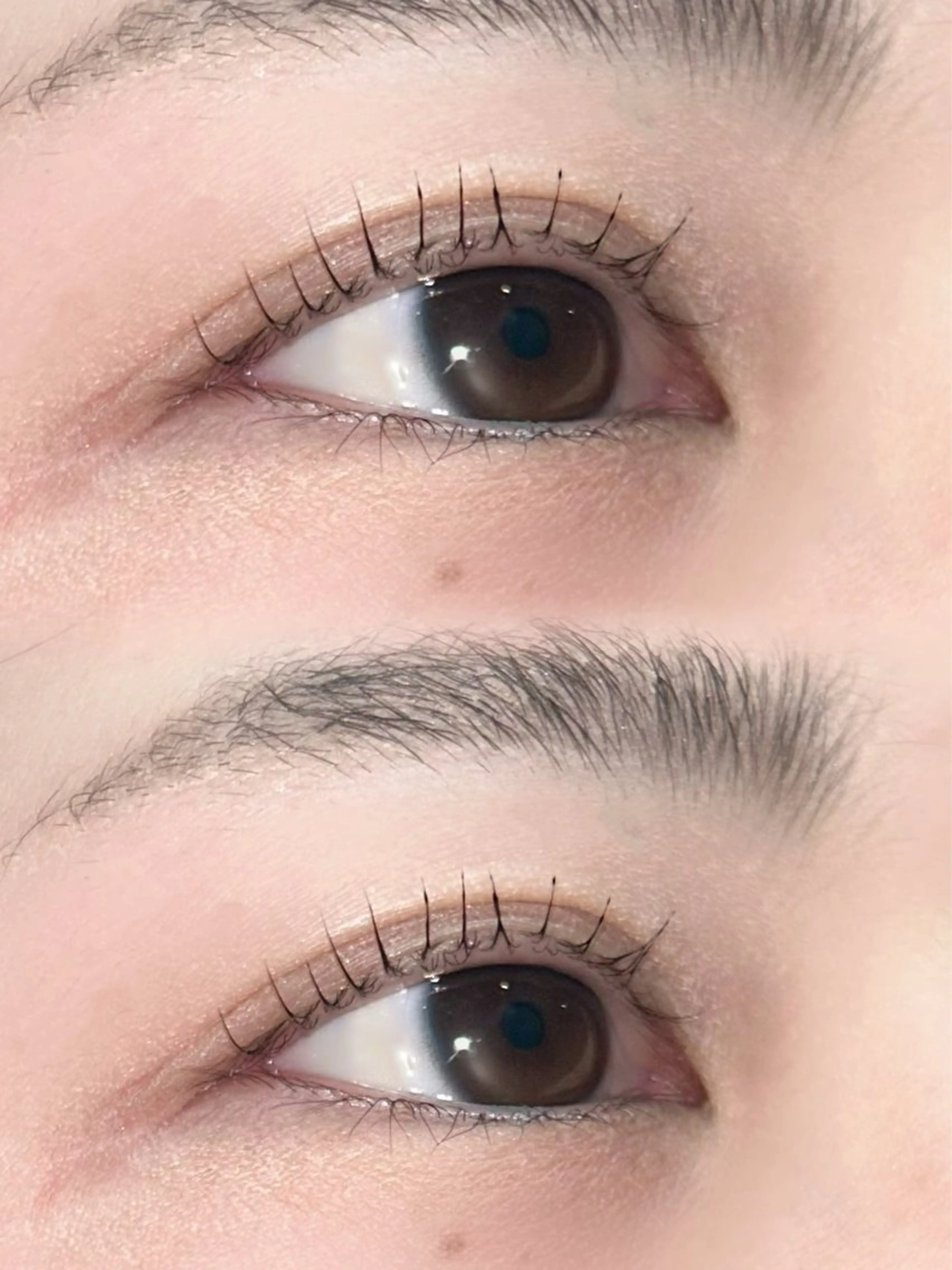 マツエク・マツパ ANCIL店 みいだ🧸🍯のマツエク・マツパデザイン