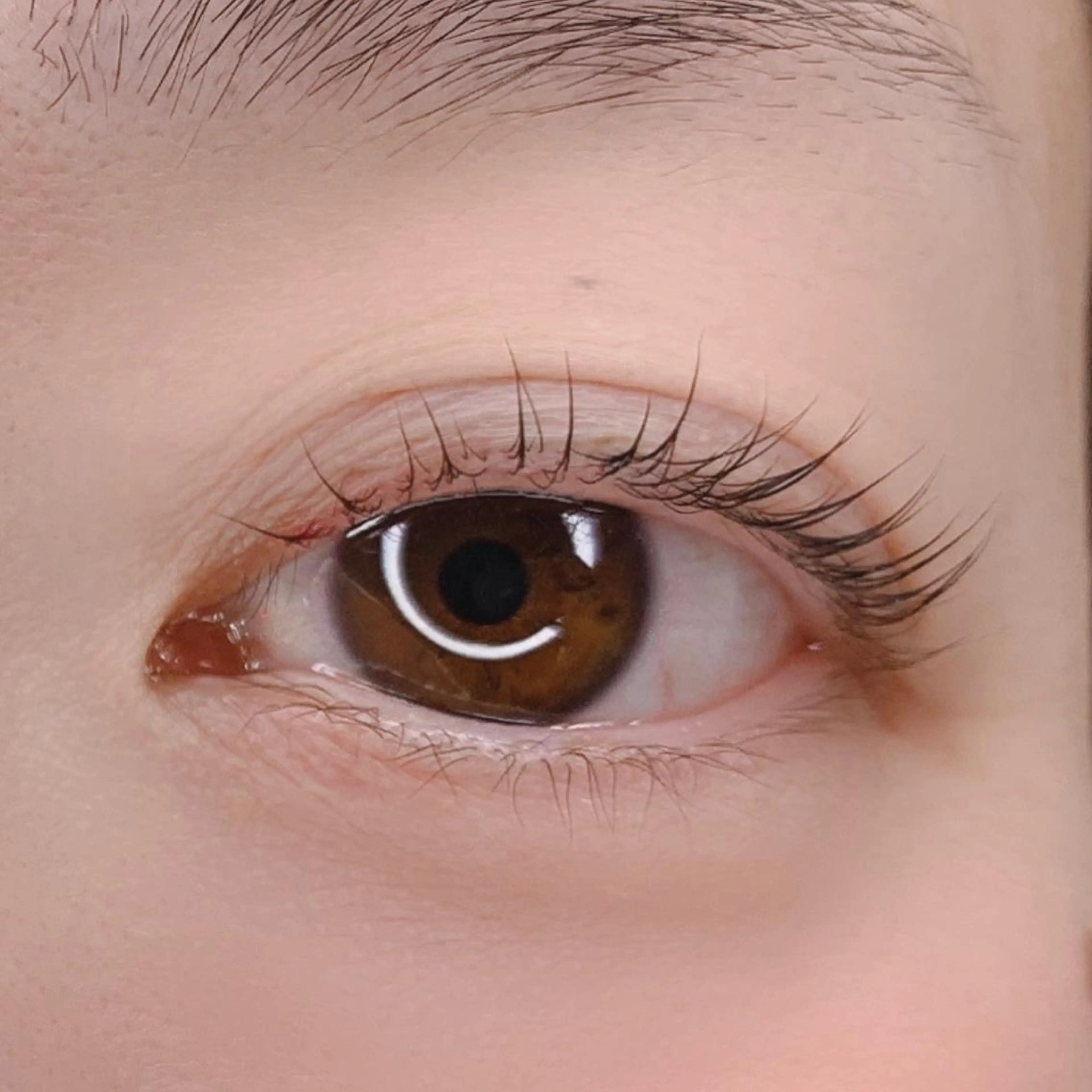 マツエク・マツパ joieange 🕊️のマツエク・マツパデザイン