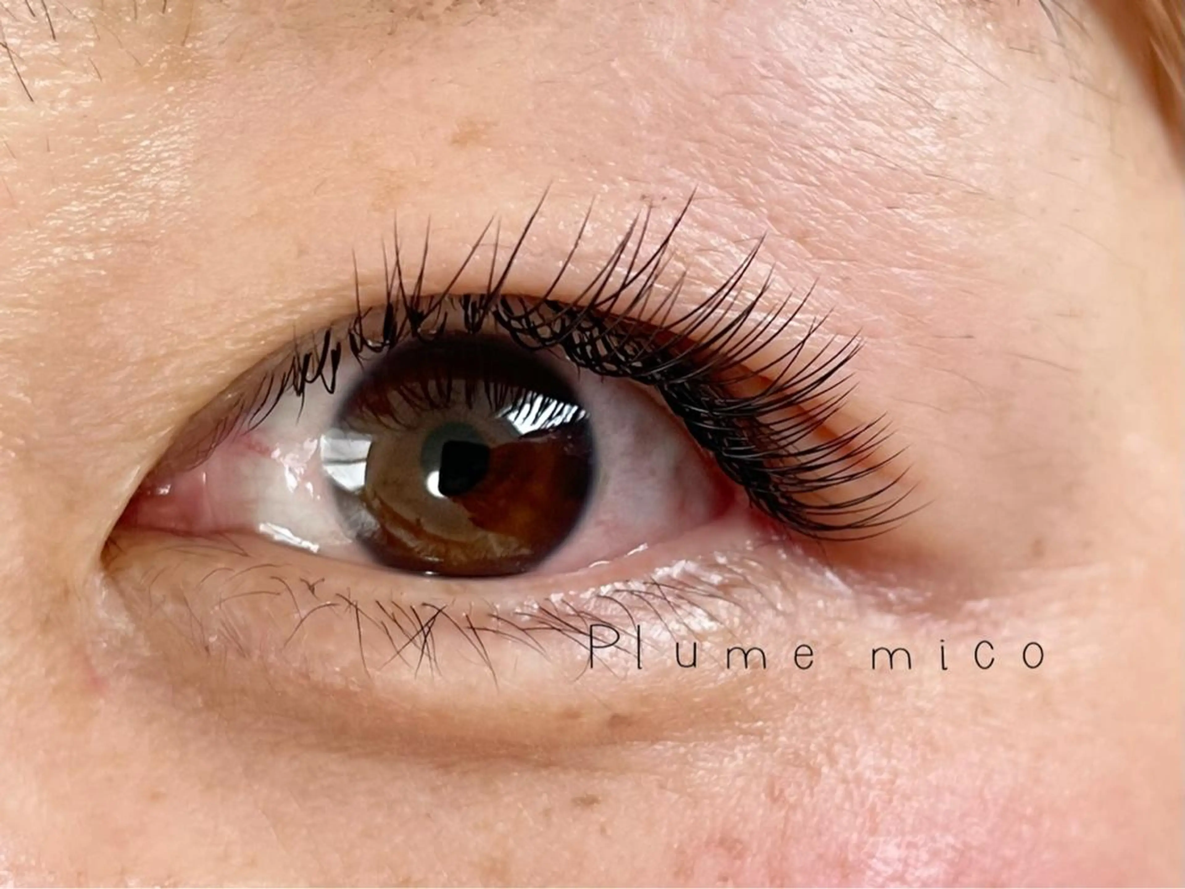 マツエク・マツパ マツエク Plume micoのマツエク・マツパデザイン