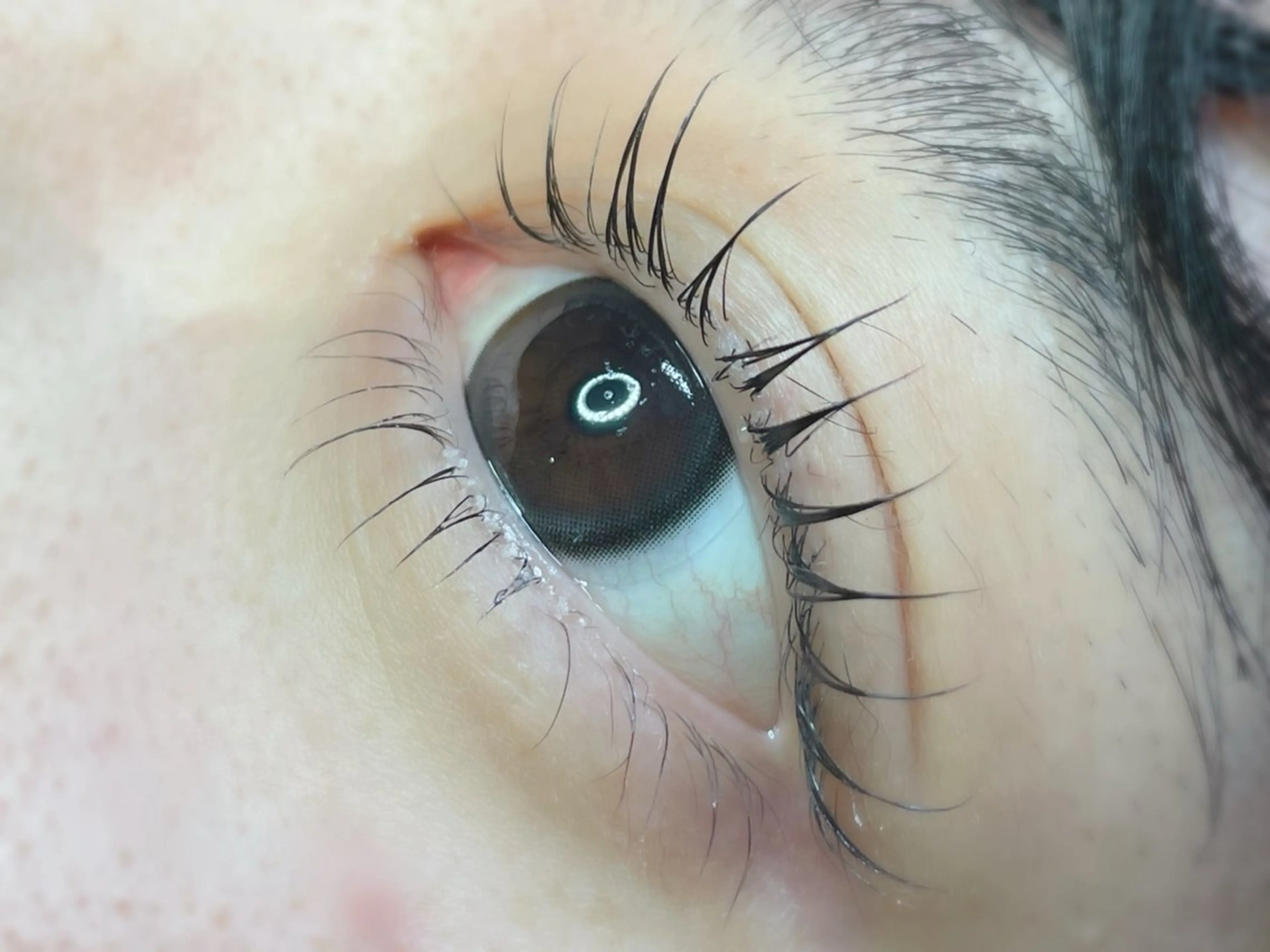 マツエク・マツパ マツパ TOPアイリスト ふたつぎちさとのマツエク・マツパデザイン