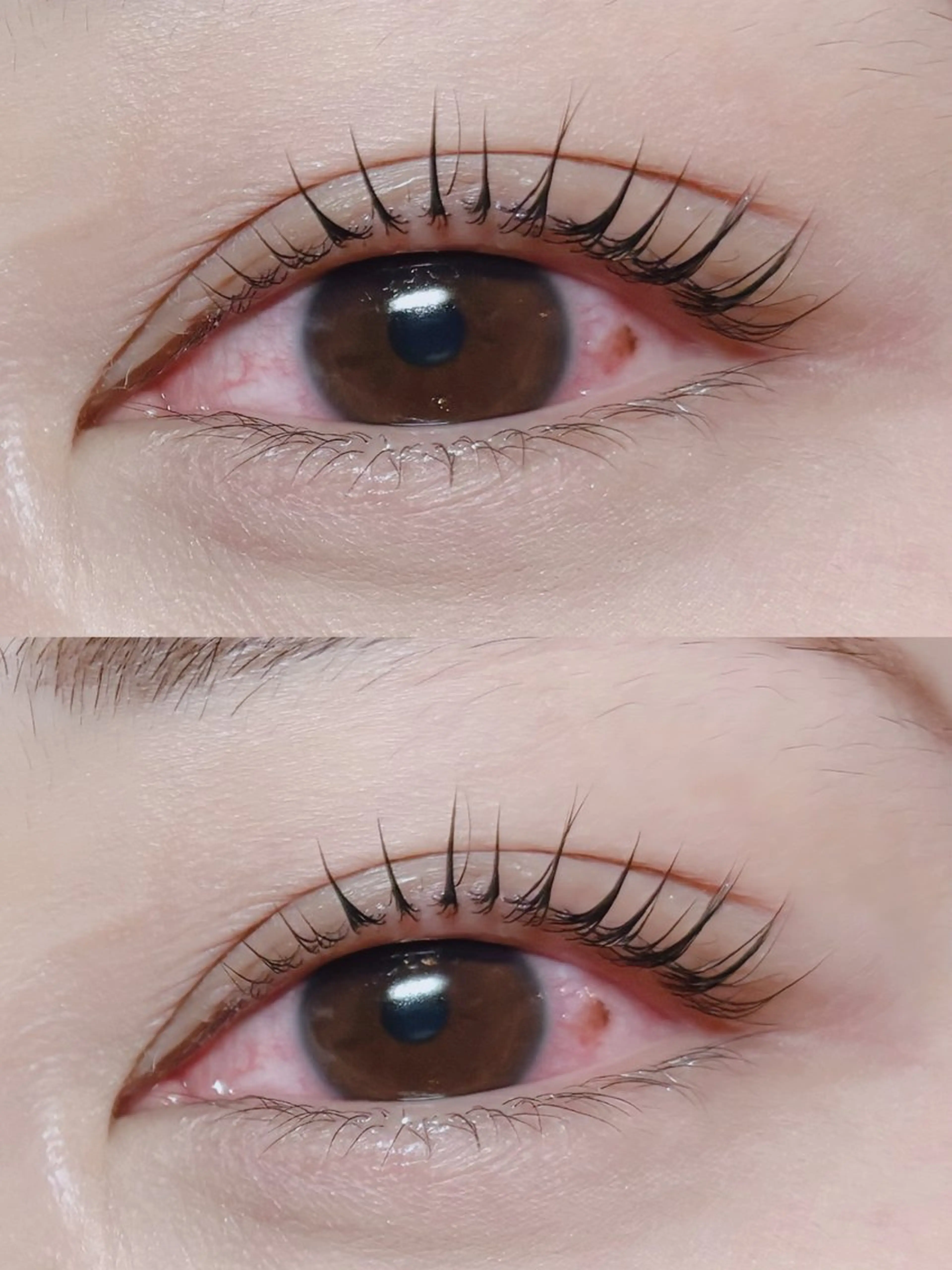 マツエク・マツパ naitre 🌼SHIORI🌼のマツエク・マツパデザイン