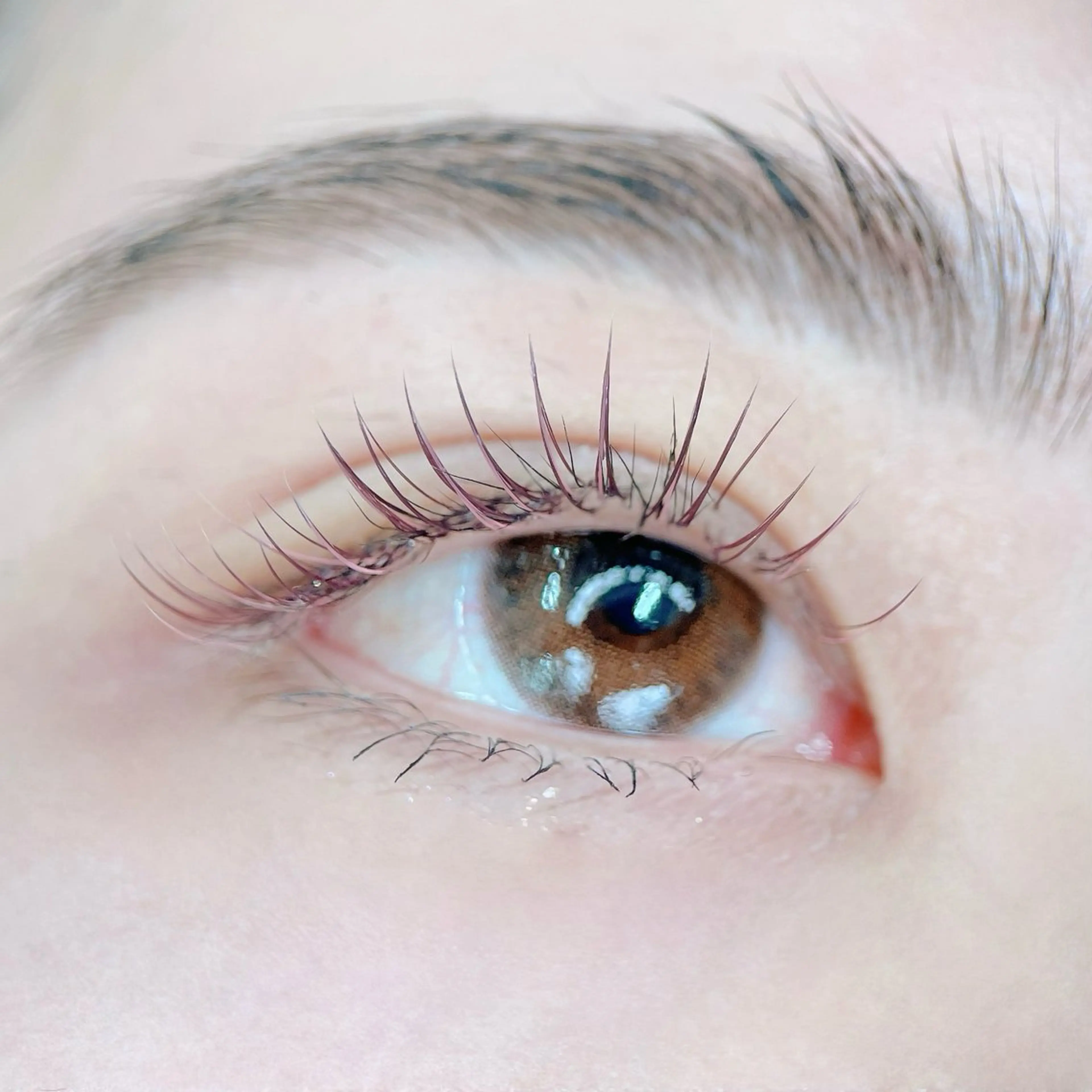 マツエク・マツパ 🩰ユ ウ 《eye&brow》のマツエク・マツパデザイン