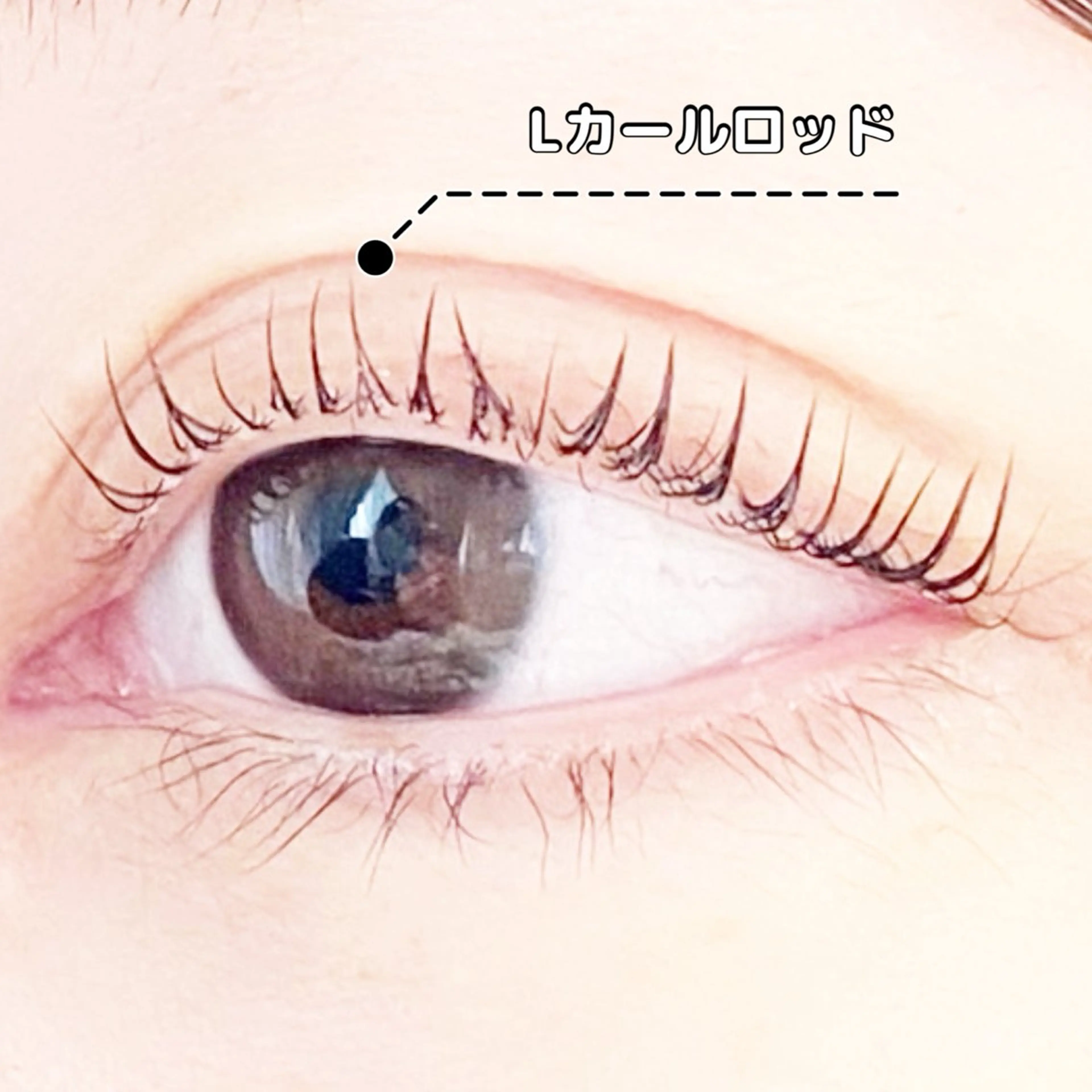 マツエク・マツパ Lカール LC尾張旭店🫧 いしいのマツエク・マツパデザイン