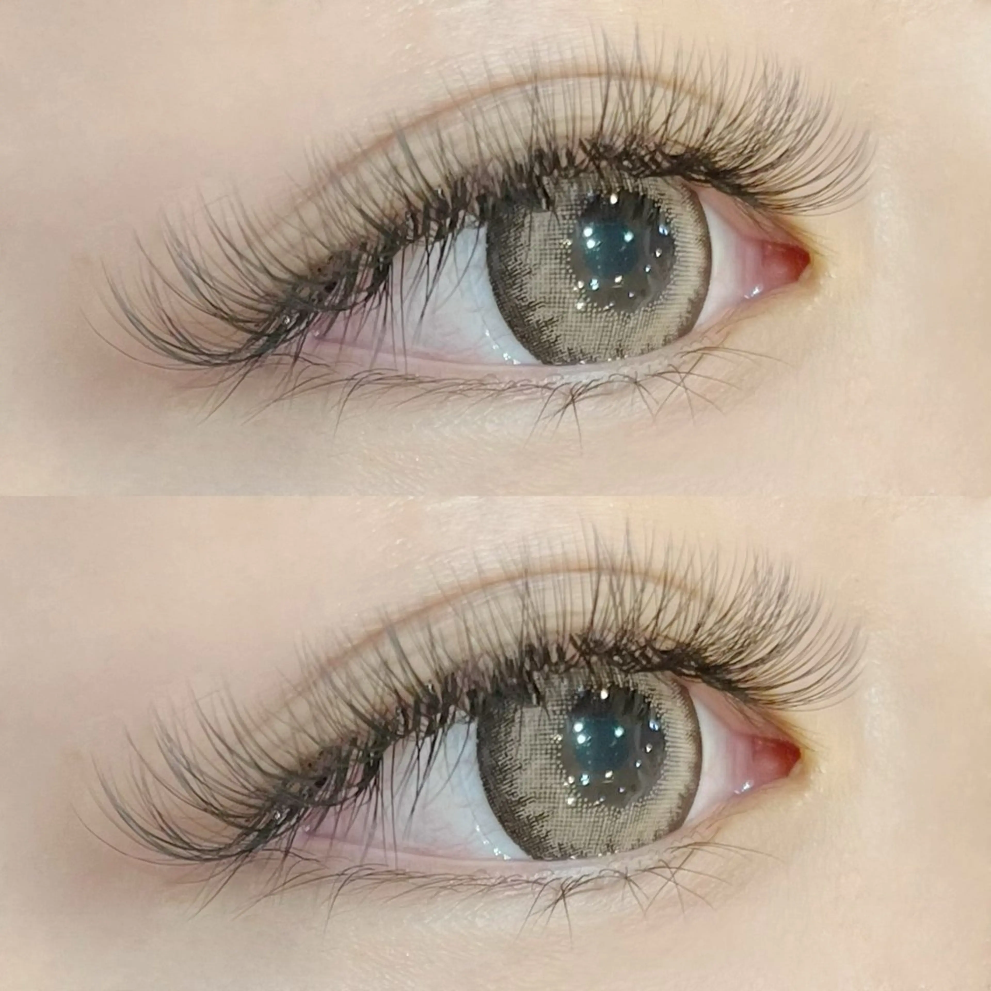 ボリュームラッシュ100束(約500本)の写真