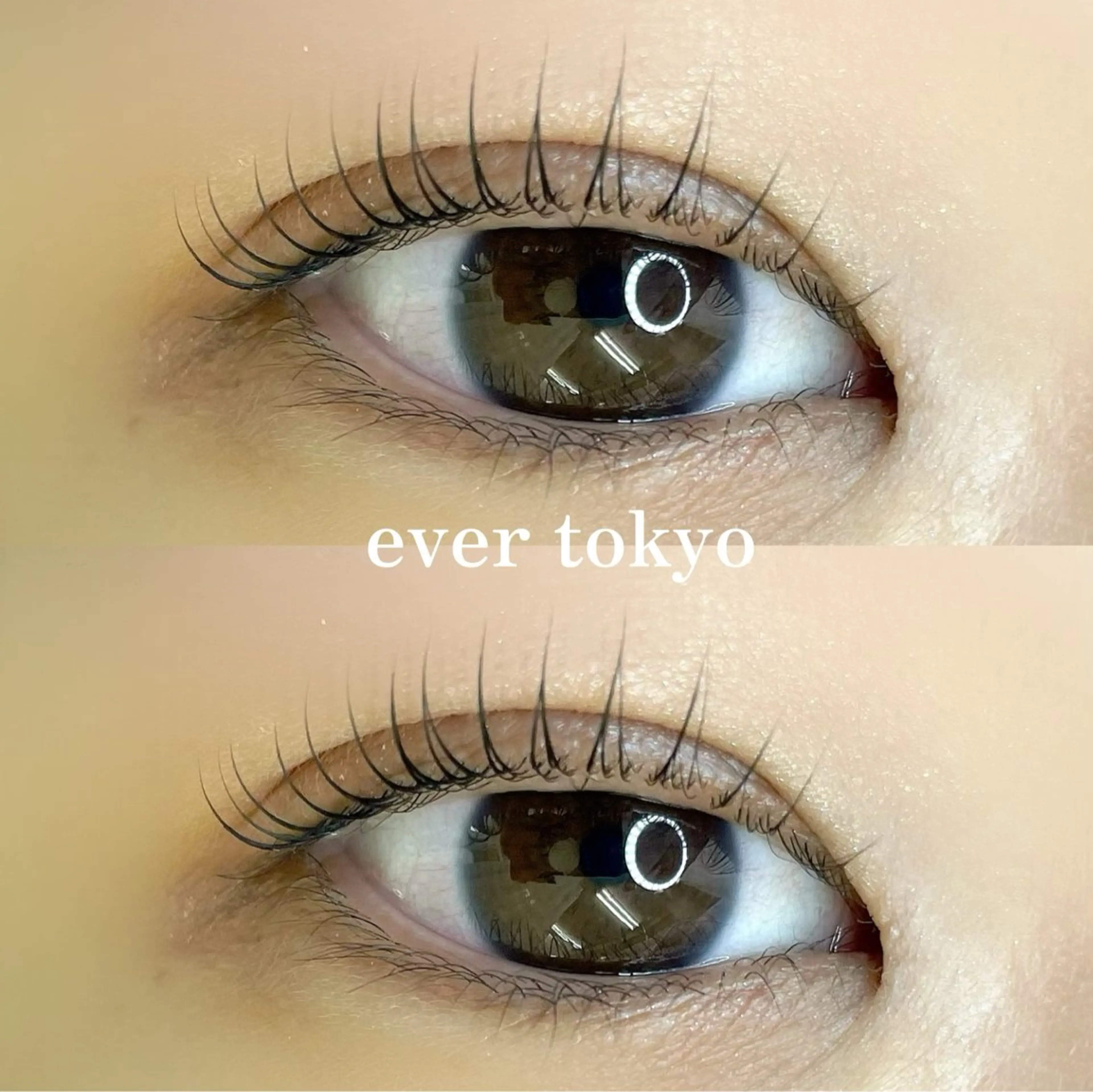 マツエク・マツパ Dカール alicetokyo 天神店のマツエク・マツパデザイン