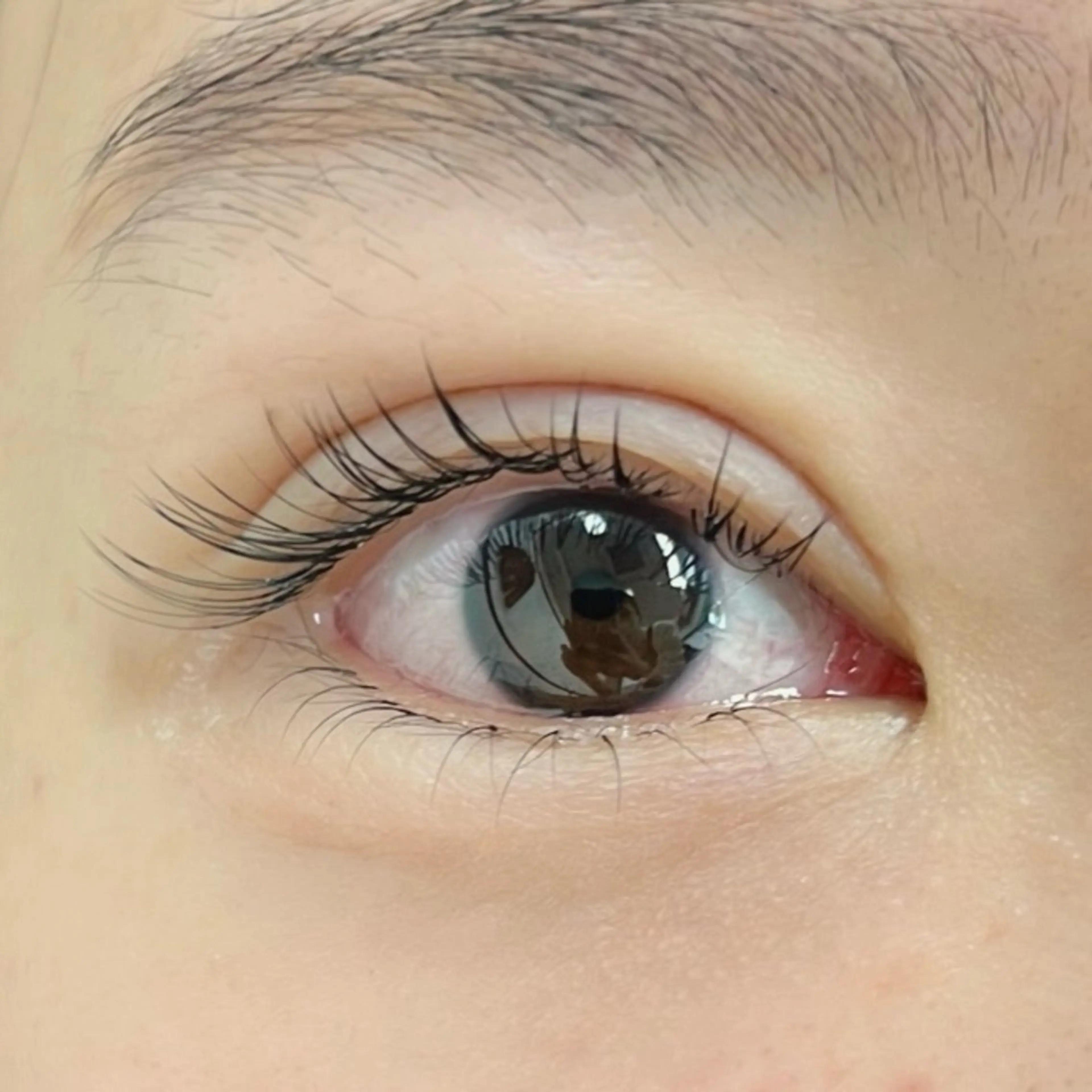 マツエク・マツパ マツエク Moe/韓国風/ 束感/キュート❤︎のマツエク・マツパデザイン