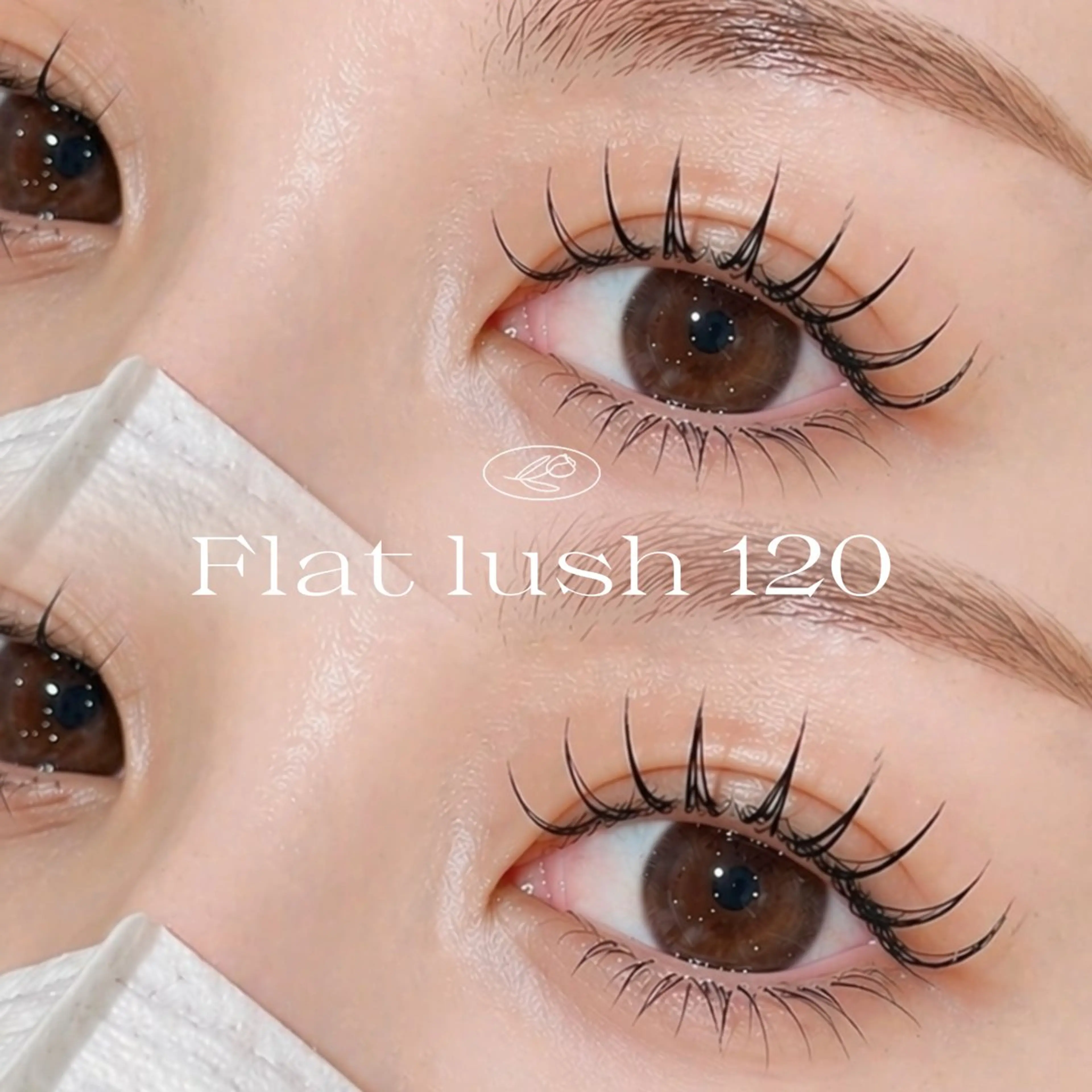 マツエク・マツパ マツエク ✨etora 池袋店✨のマツエク・マツパデザイン