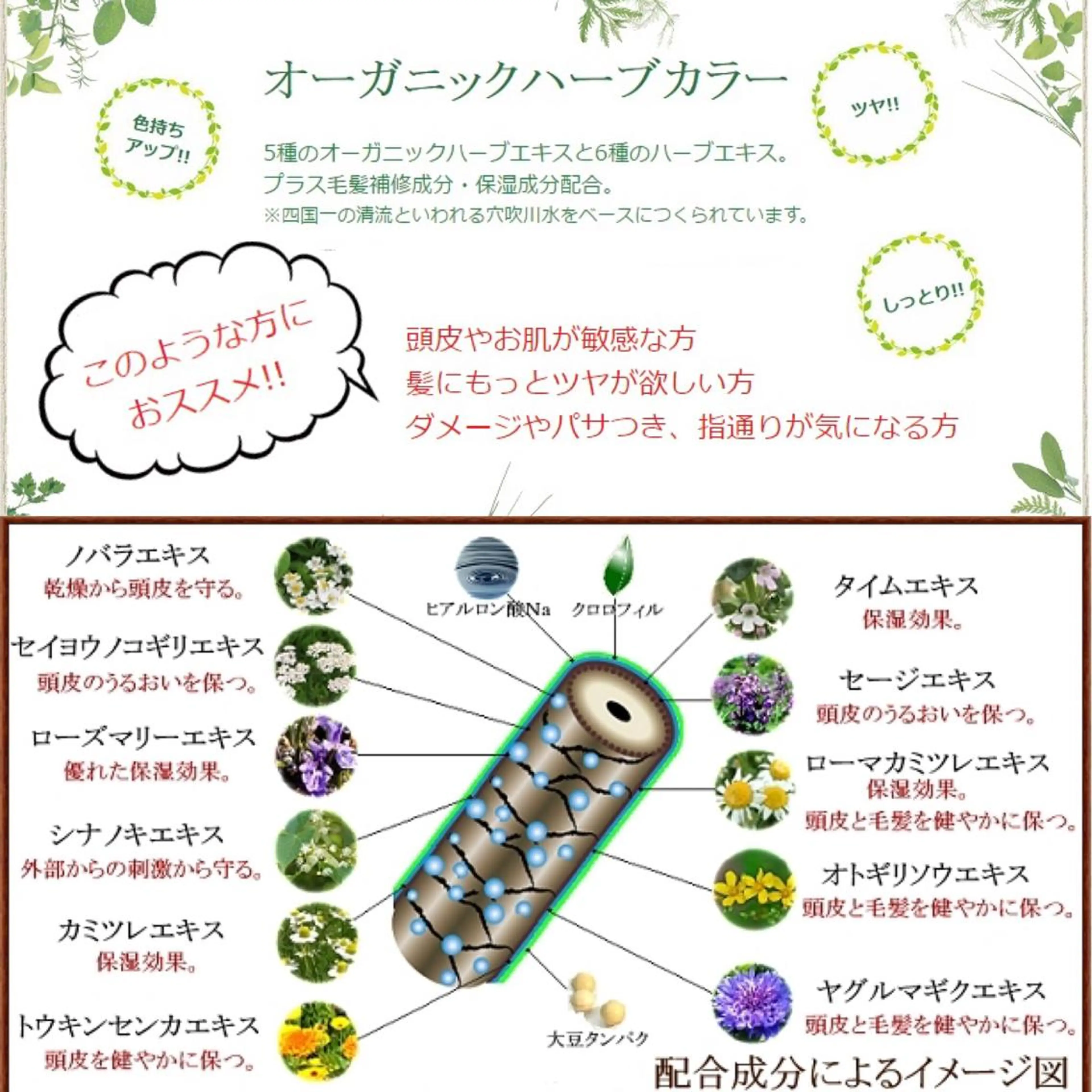 カラー ヘアカラー エレガンス 六甲店のヘアスタイル