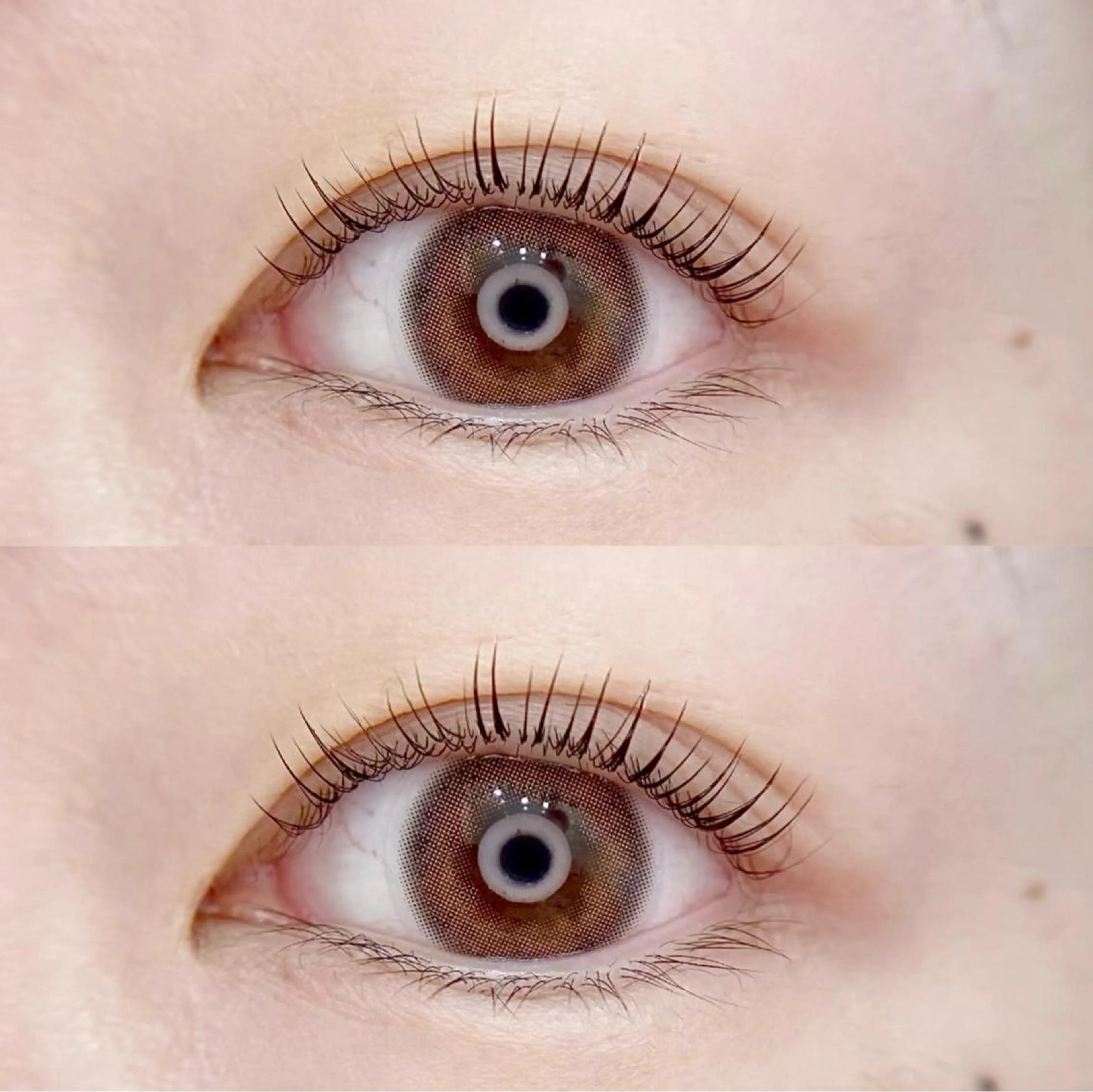 マツエク・マツパ Rabbit hagaのマツエク・マツパデザイン