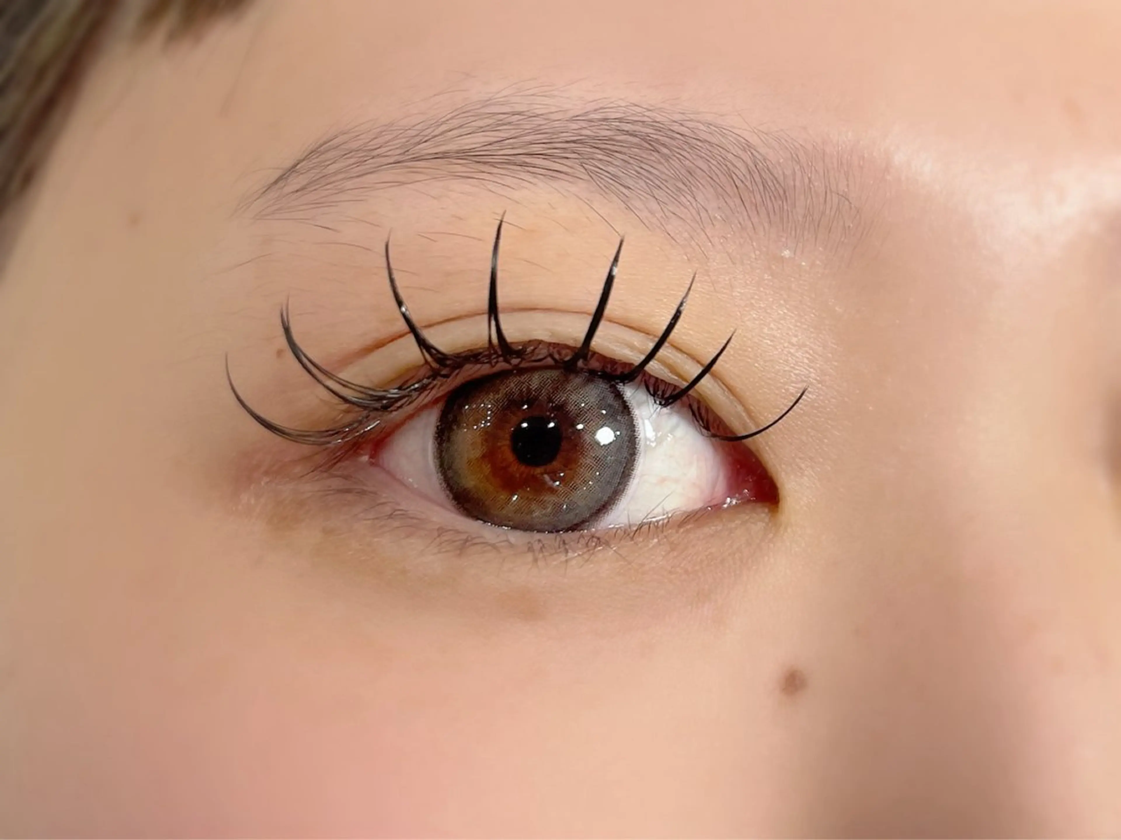 マツエク・マツパ フラットラッシュ マリーテレジア Okuboのマツエク・マツパデザイン