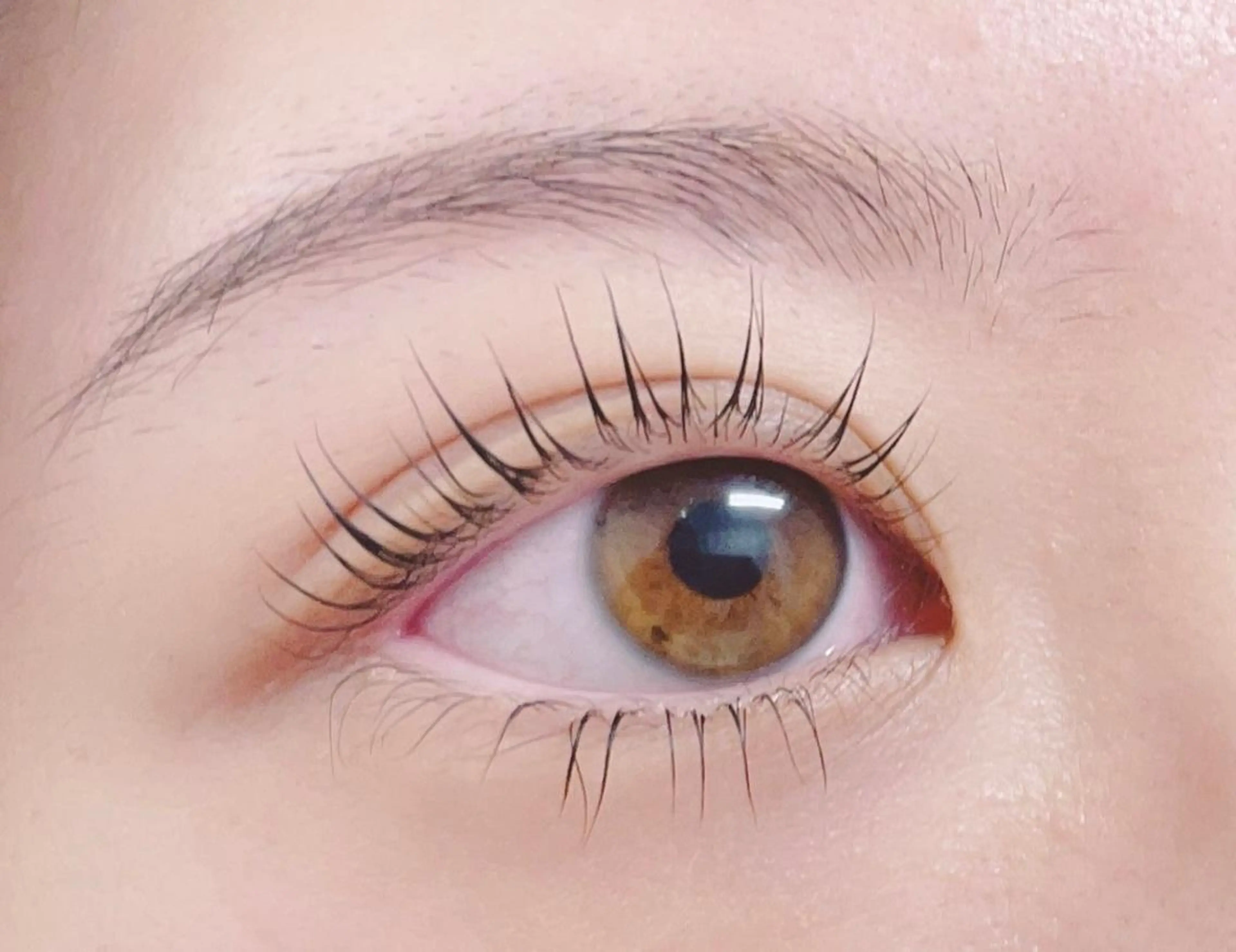 マツエク・マツパ マツパ Megu. anelloのマツエク・マツパデザイン