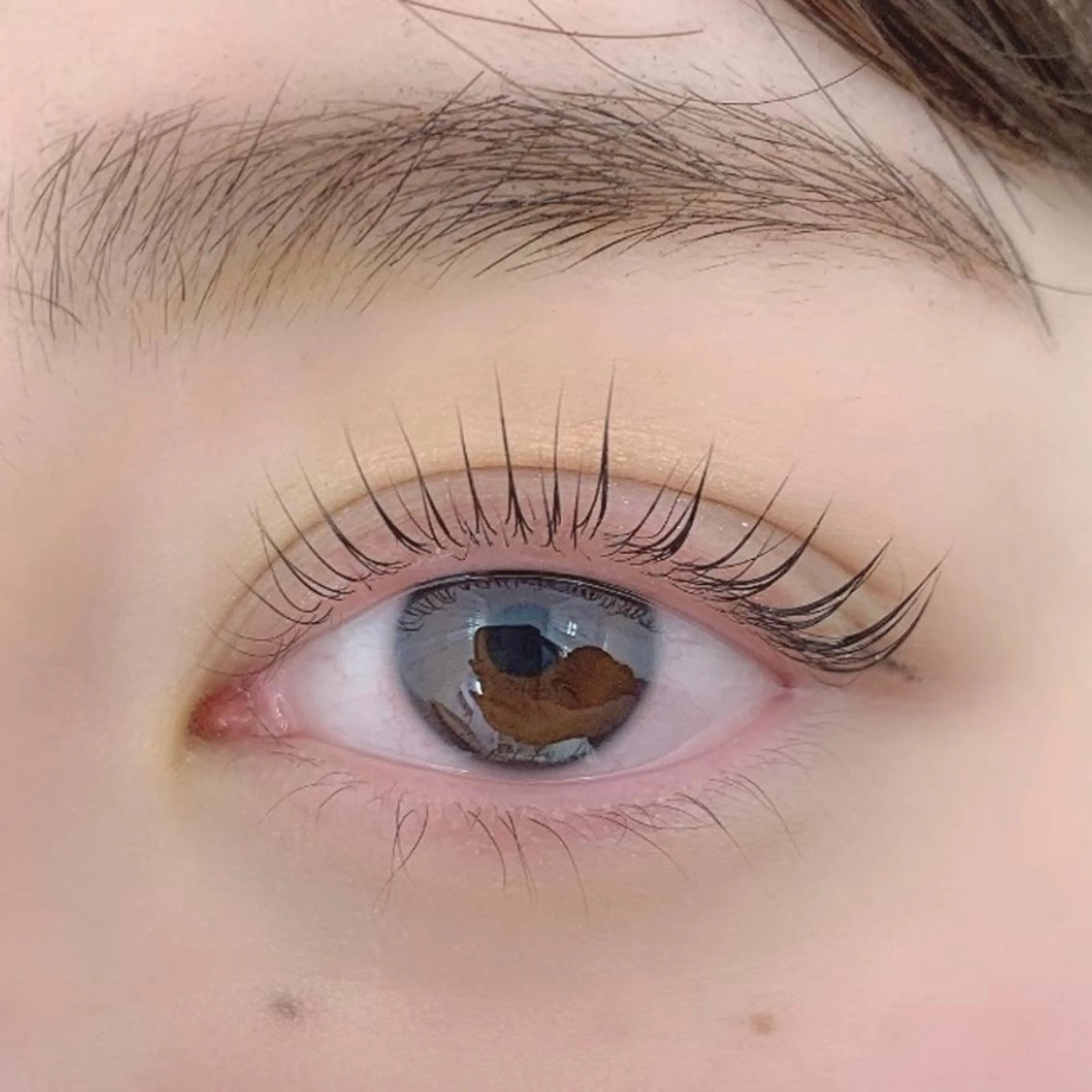 マツエク・マツパ マツパ Myro misaeのマツエク・マツパデザイン