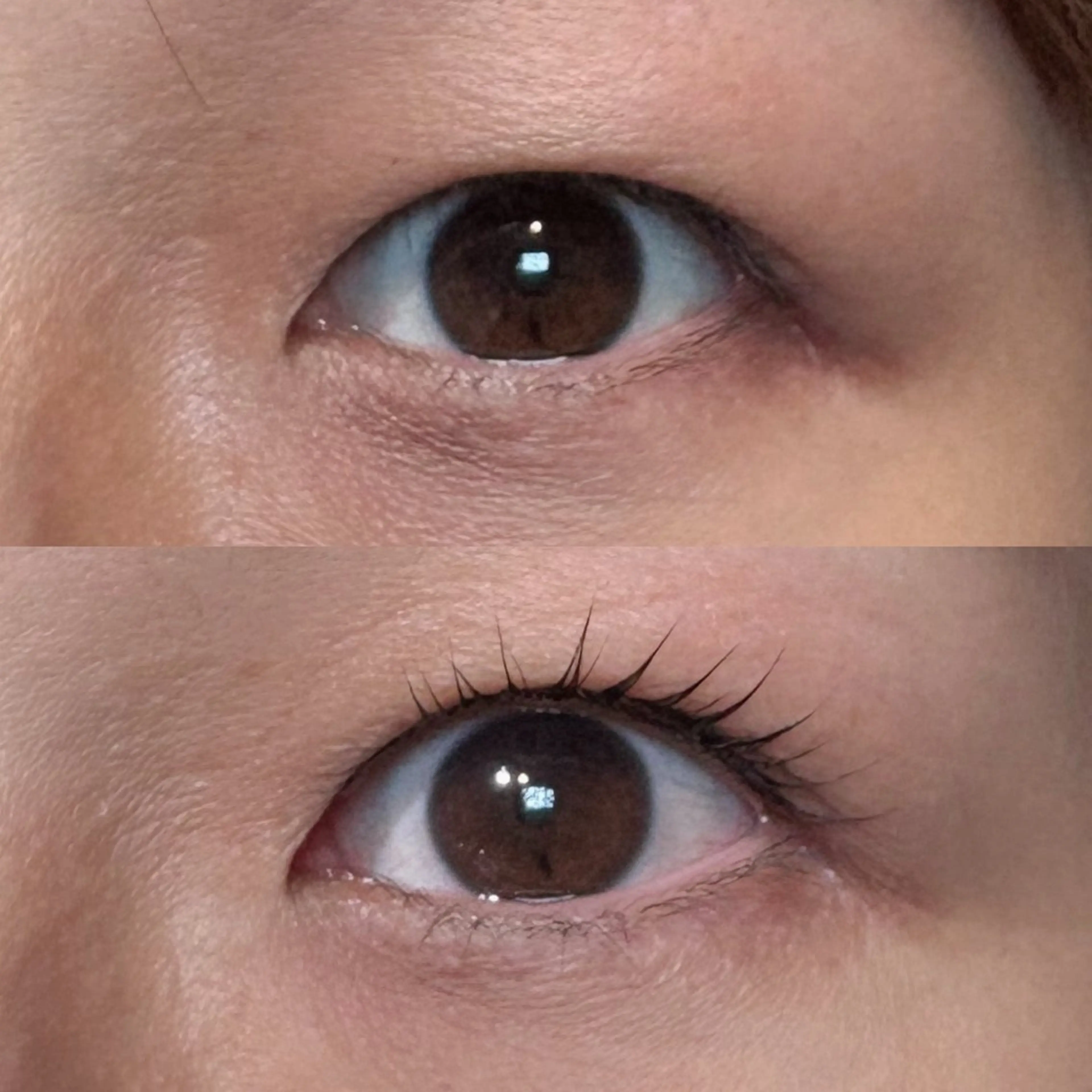 マツエク・マツパ ito. cellulamのエステ・リラクイメージ