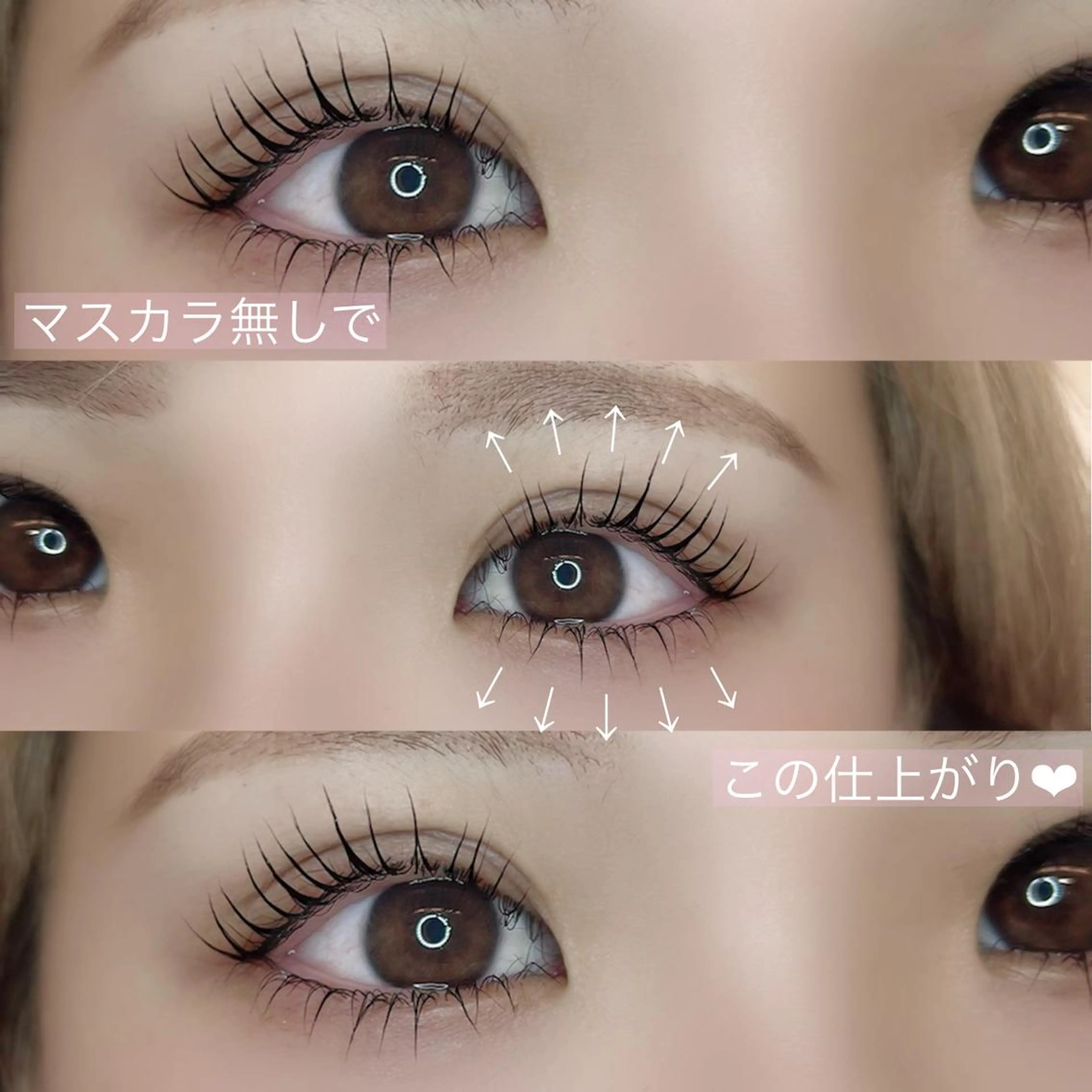 マツエク・マツパ 一重×まつ毛パーマ Blanche  / yuiのマツエク・マツパデザイン