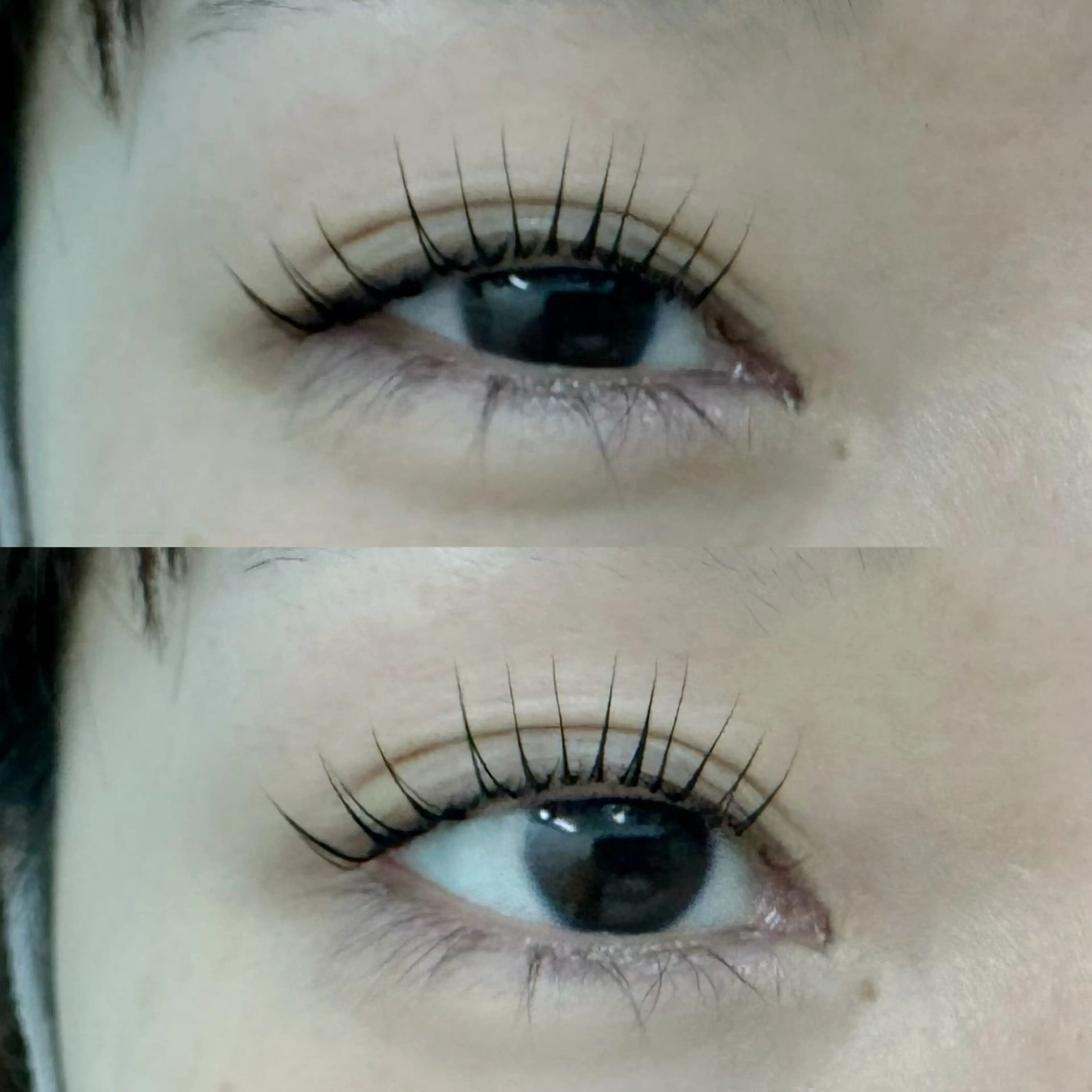 🌼ご新規様限定メニュー🤍ラッシュリフト¥5400(コーティングあり)の写真