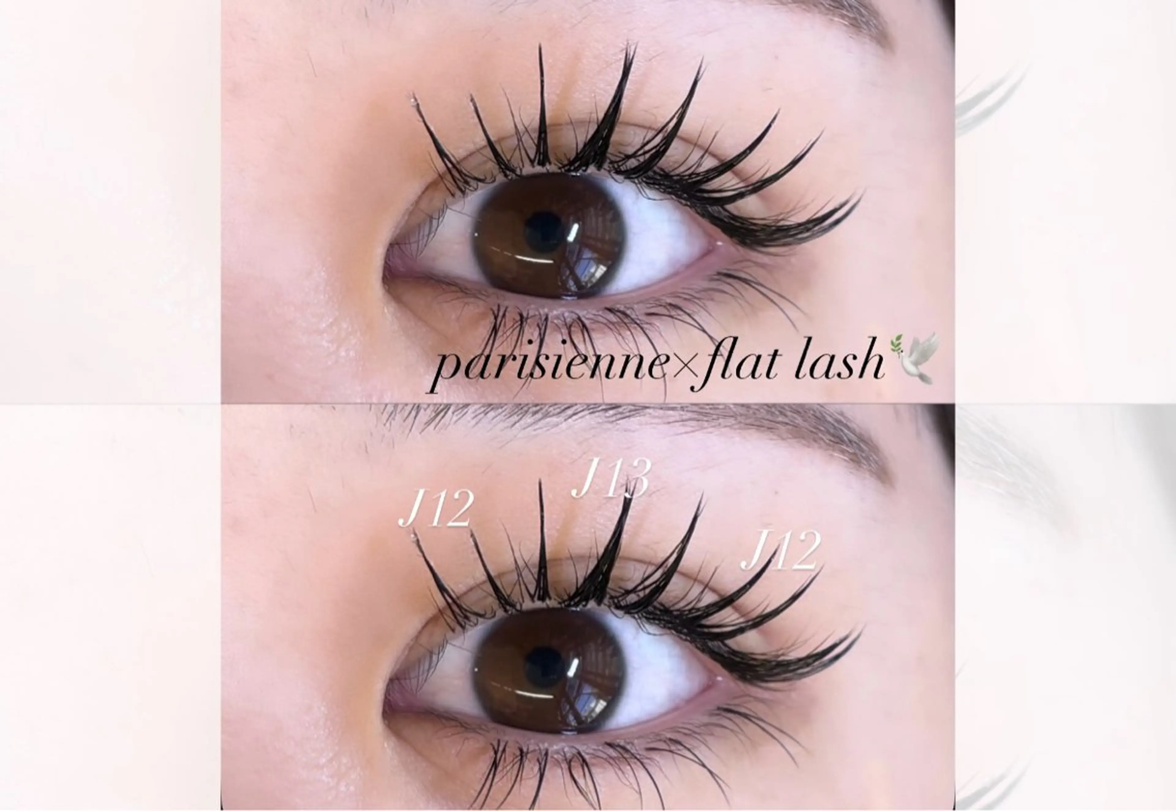 パリエク(パリジェンヌ×フラットラッシュ)100本🕊️ （付け足し不可）⚠️詳細必読※オフ代＋¥550の写真