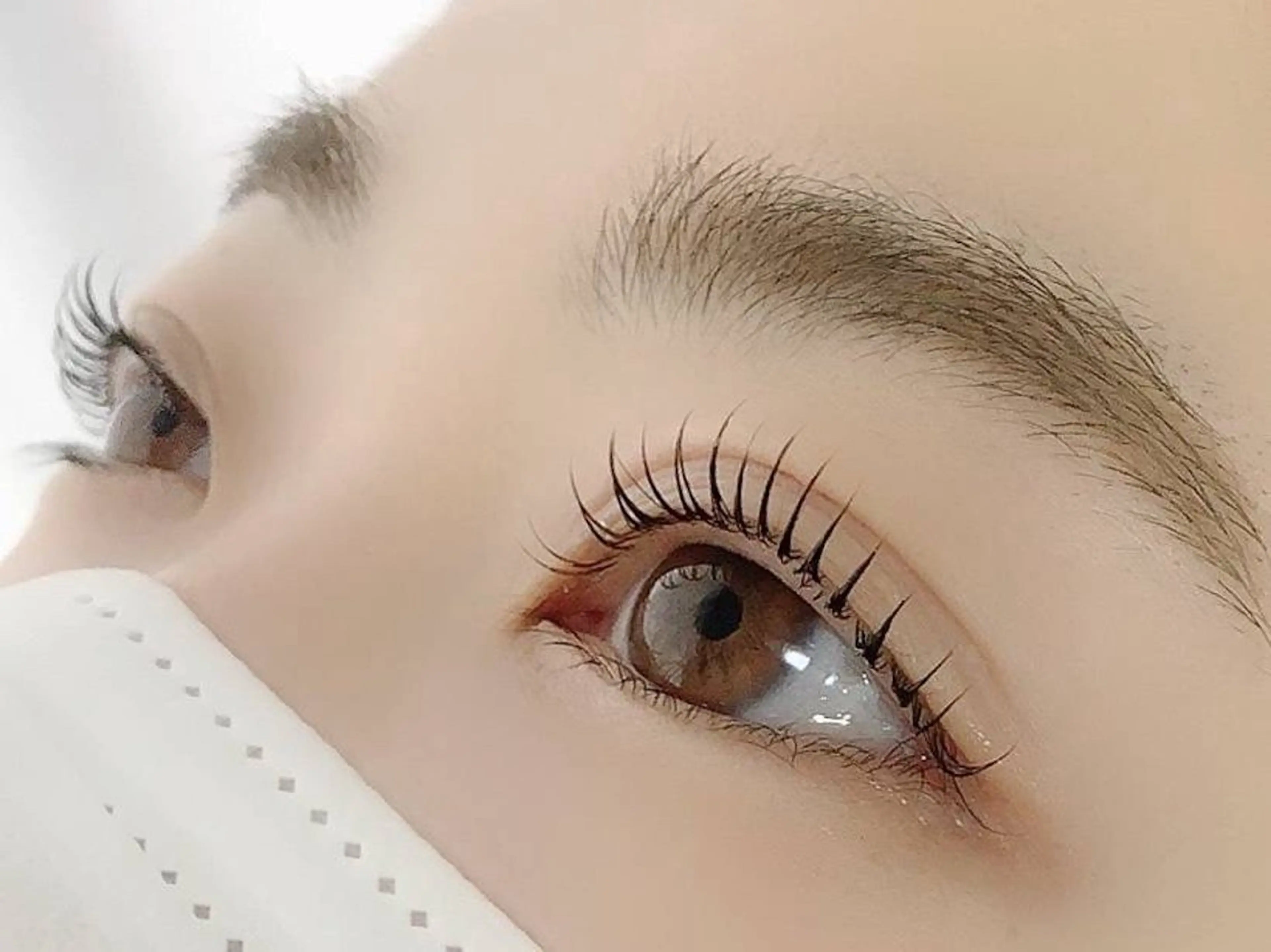 まつ毛パーマ上下✨モデル募集💗の写真