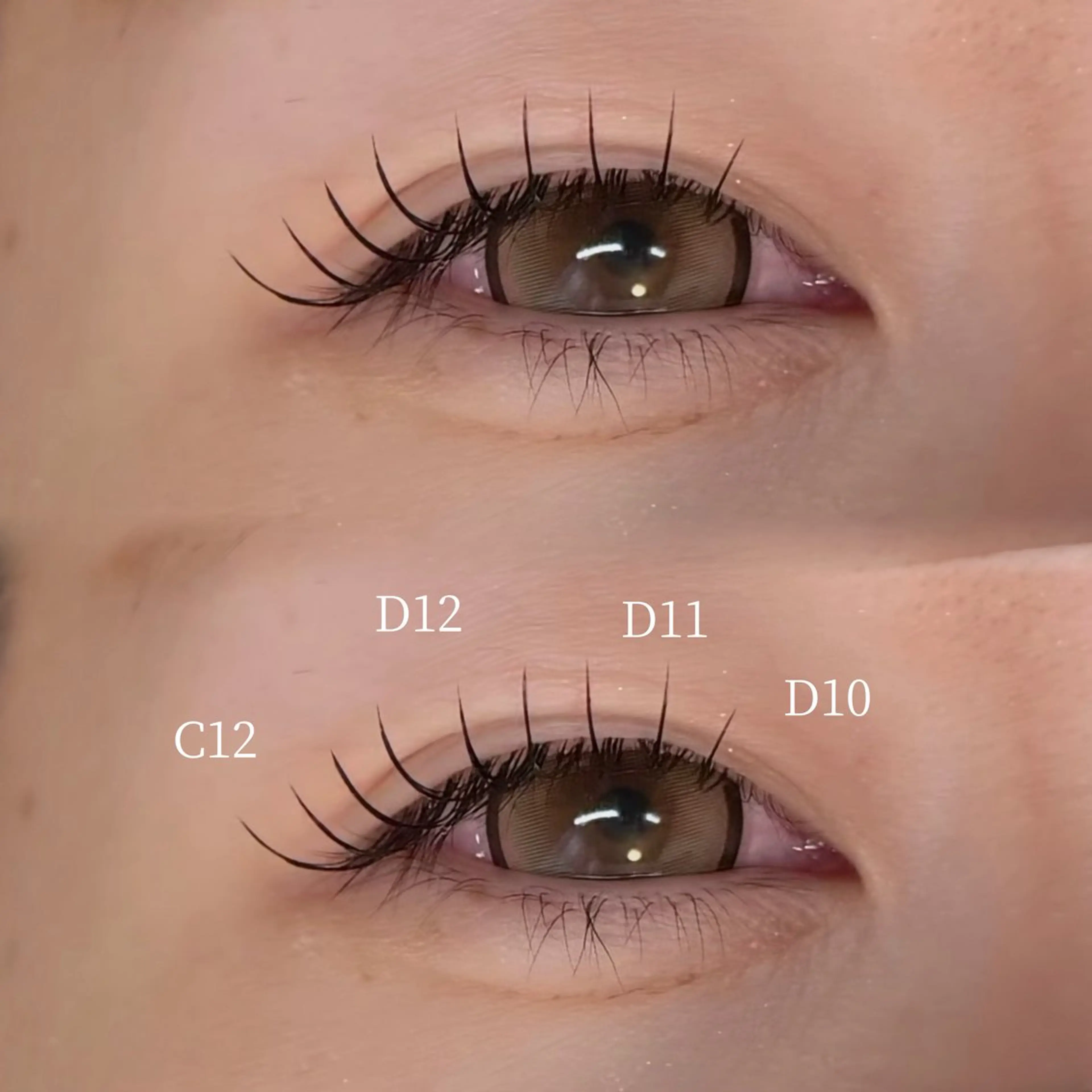 LEDエクステ🌸マツエクフラットラッシュ ~80本まで(オフあり)の写真