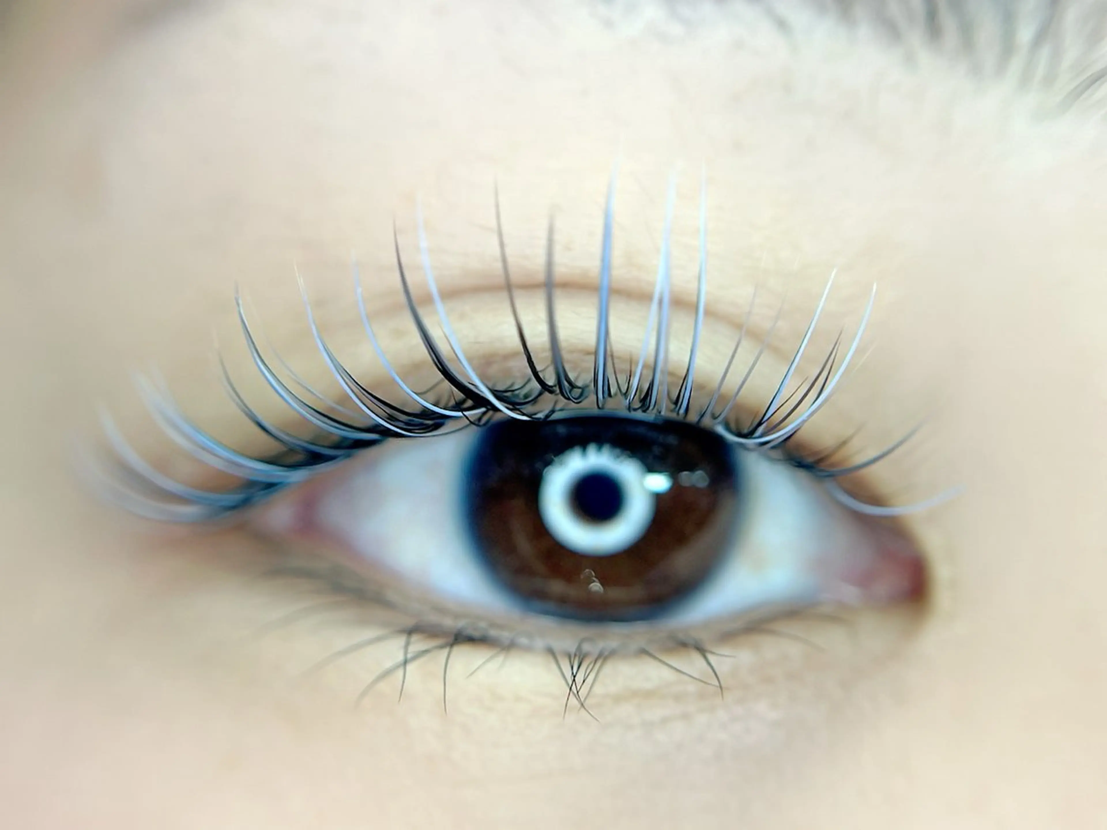 マツエク・マツパ HUR-RAH所属・HUR-RAH Haruyoの眉毛・アイブロウイメージ