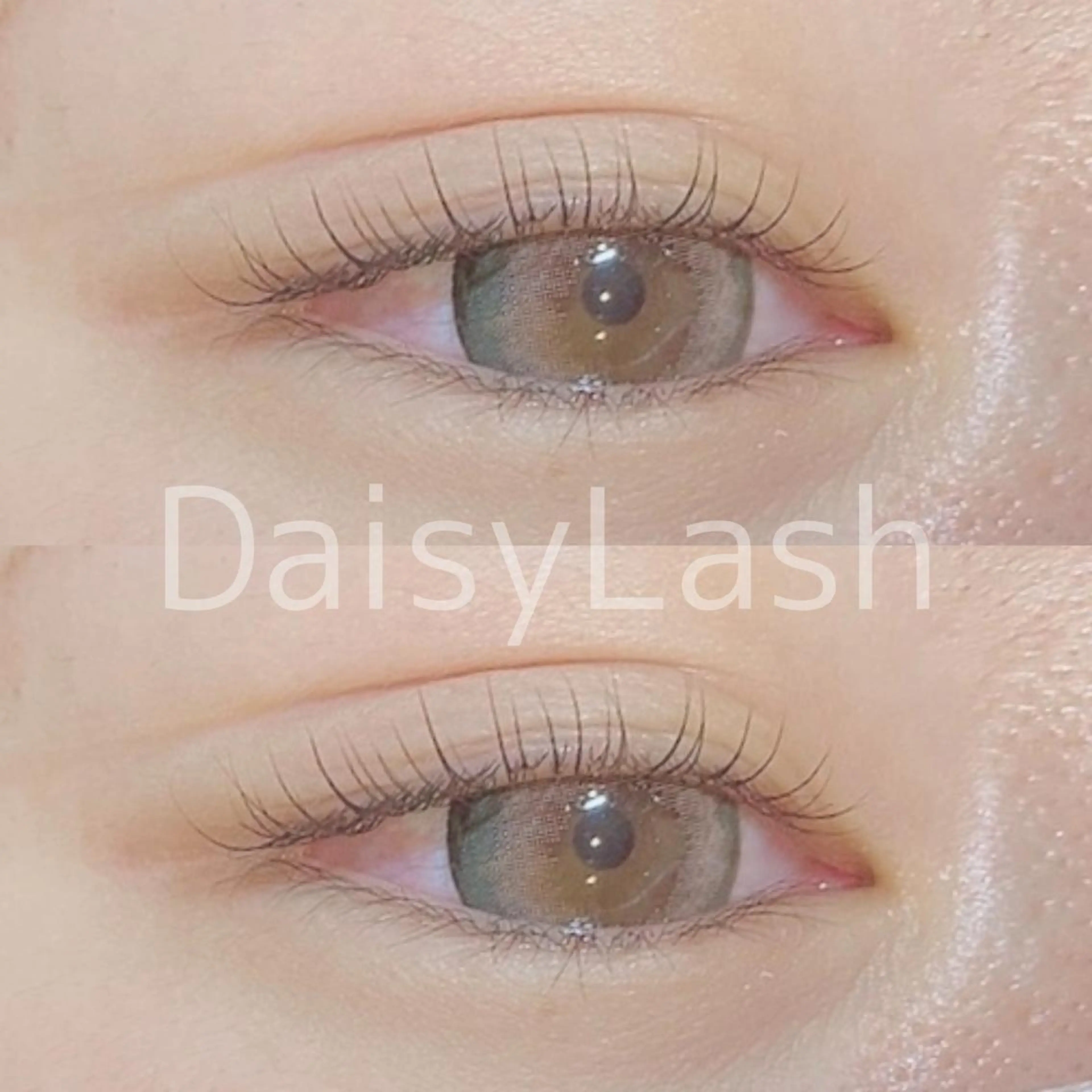 マツエク・マツパ DaisyLash 京橋店のマツエク・マツパデザイン