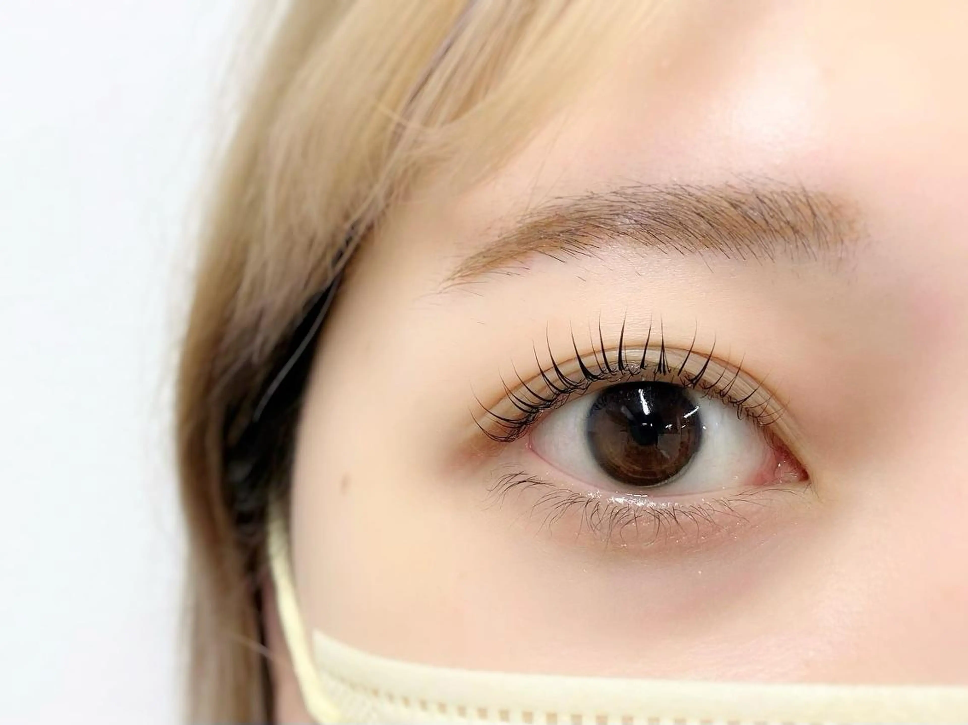 【上下まつ毛パーマ】無料モデル募集の写真