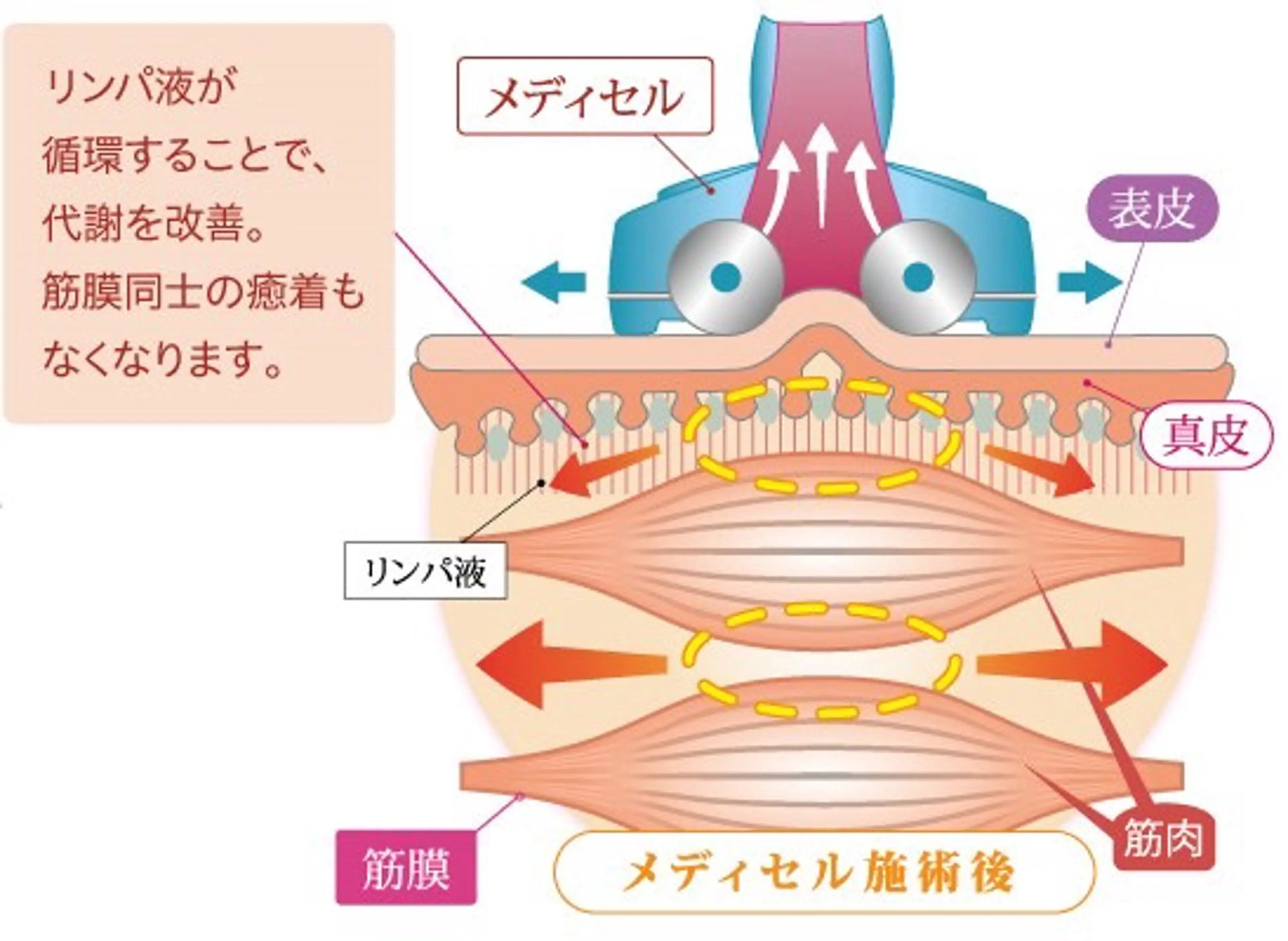 リラク 筋膜リリース骨盤矯正 いずみの治療院のエステ・リラクイメージ