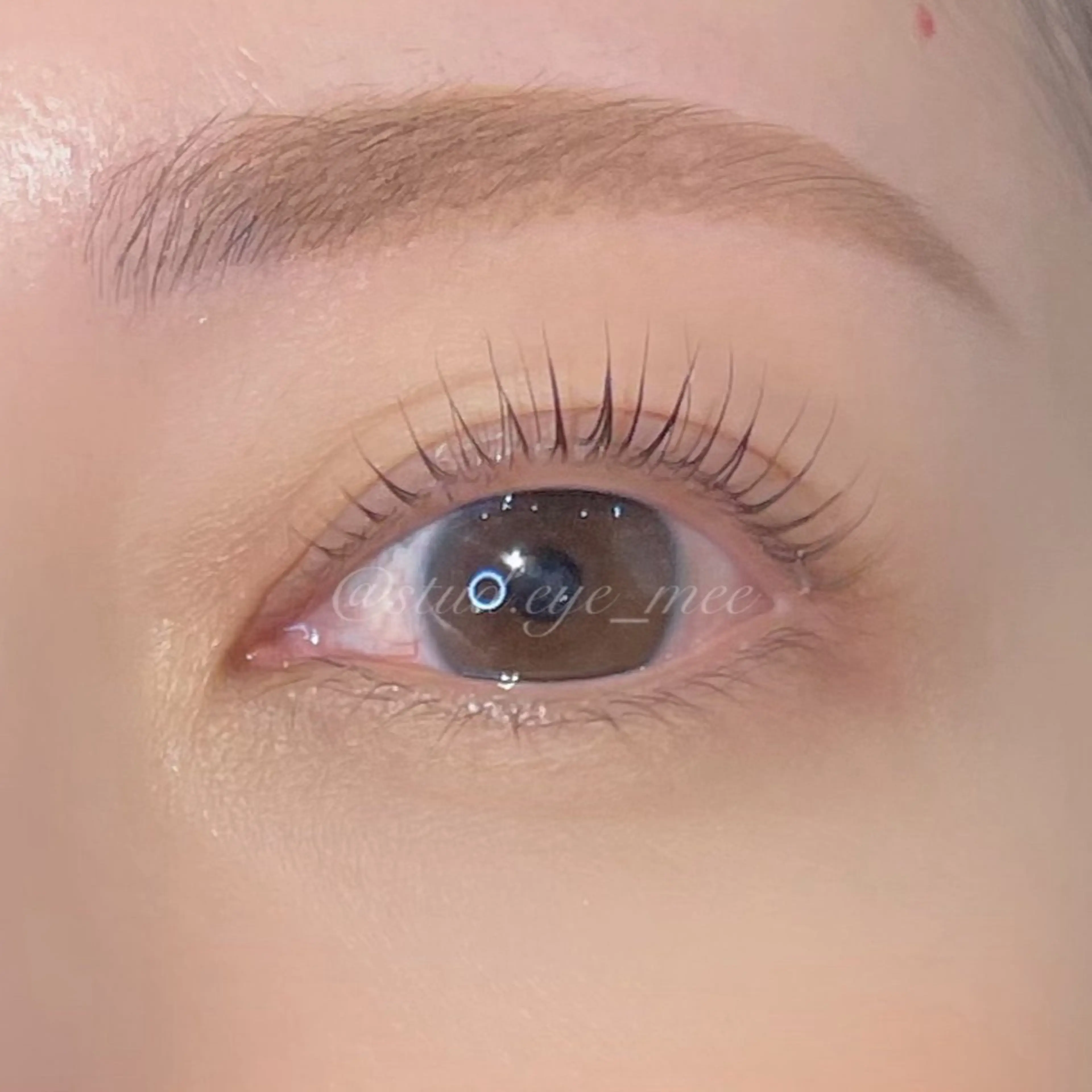 マツエク・マツパ LED指名No.１ MIORA MIKIのマツエク・マツパデザイン