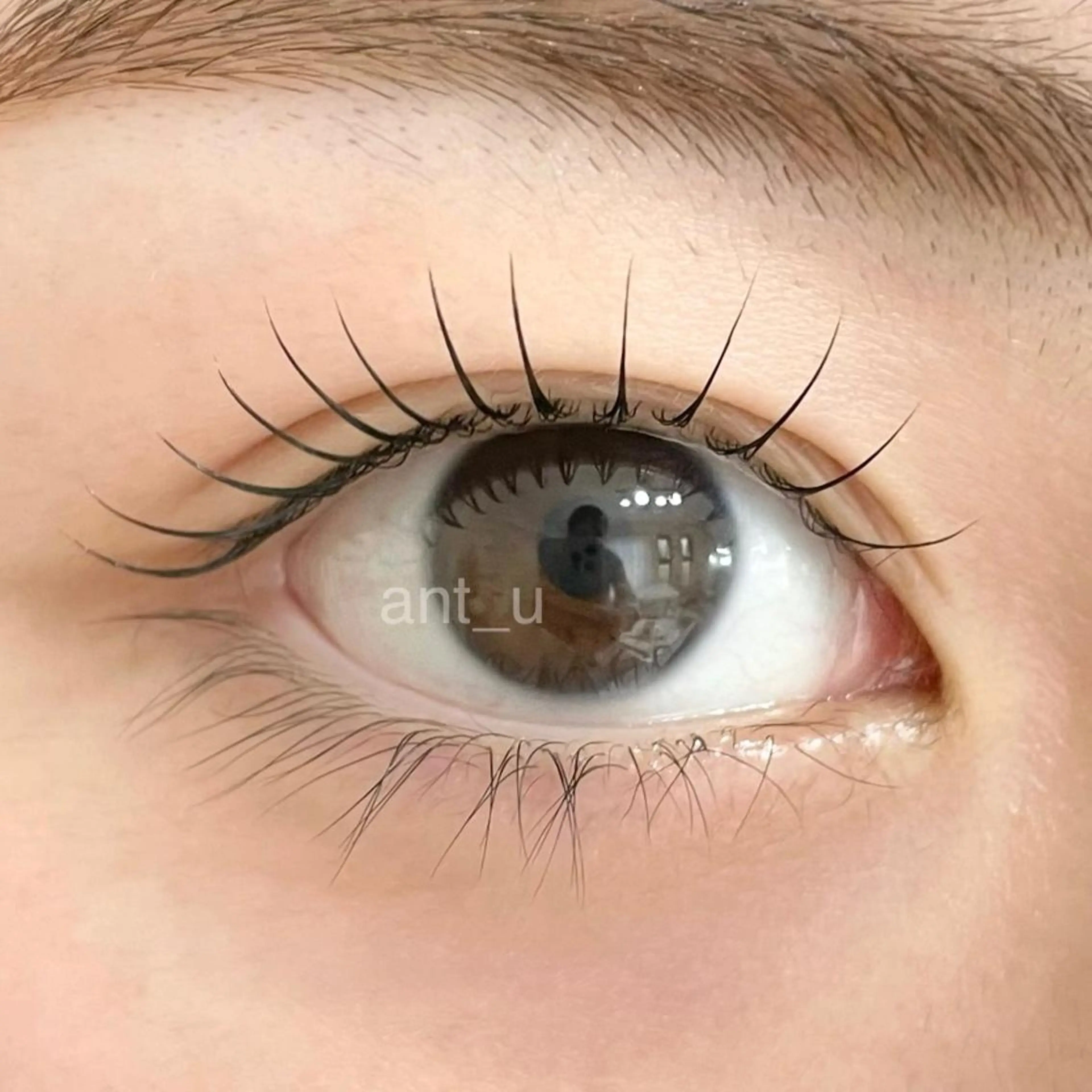 マツエク・マツパ ant_u🌷 arisaのマツエク・マツパデザイン