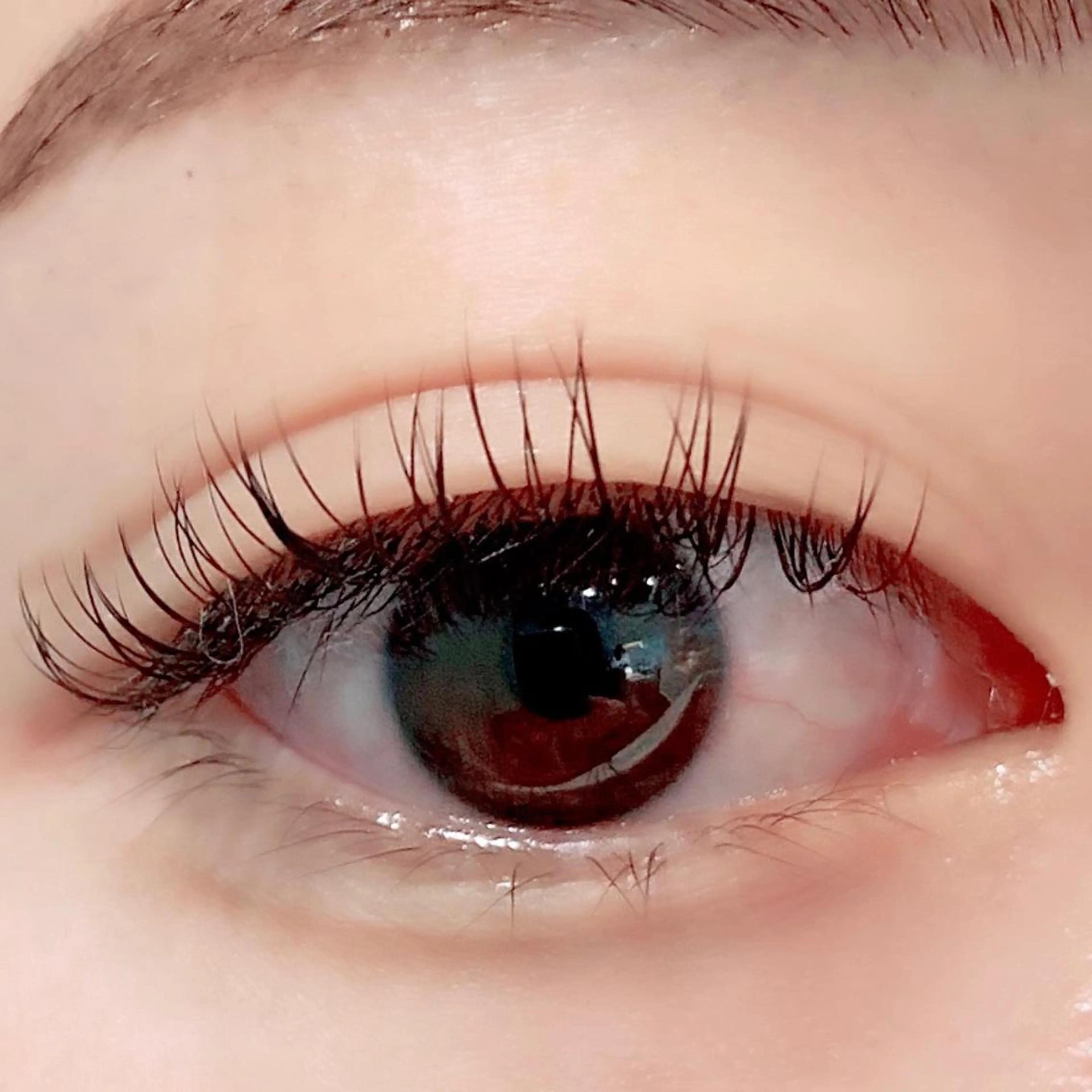 マツエク・マツパ Dカール フラットラッシュ アップワードラッシュ Bianca 長津田店　長牛の眉毛・アイブロウイメージ