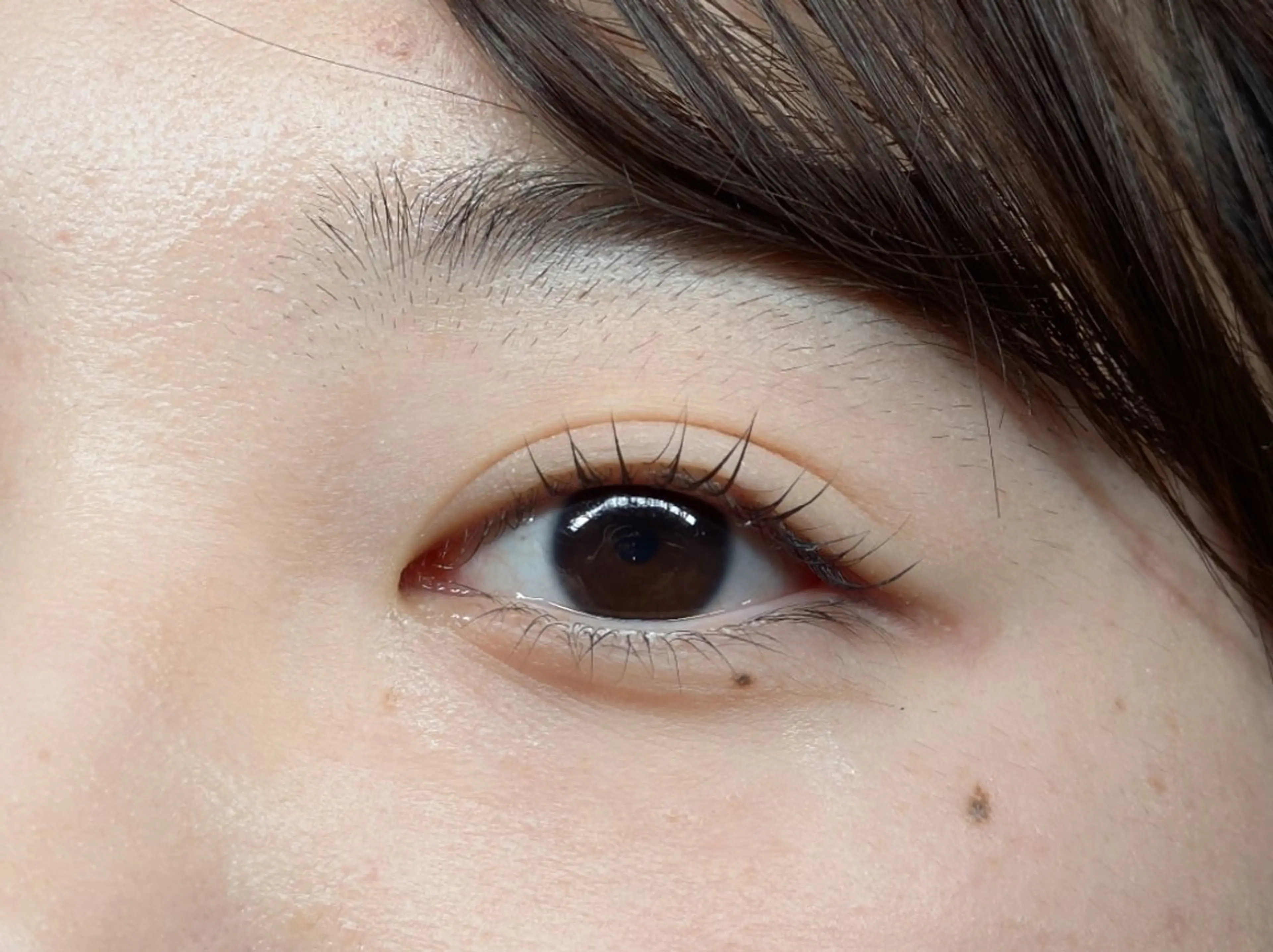 マツエク・マツパ パリジェンヌラッシュリフト まつげパーマ Sun Brown Ryu-gaのマツエク・マツパデザイン