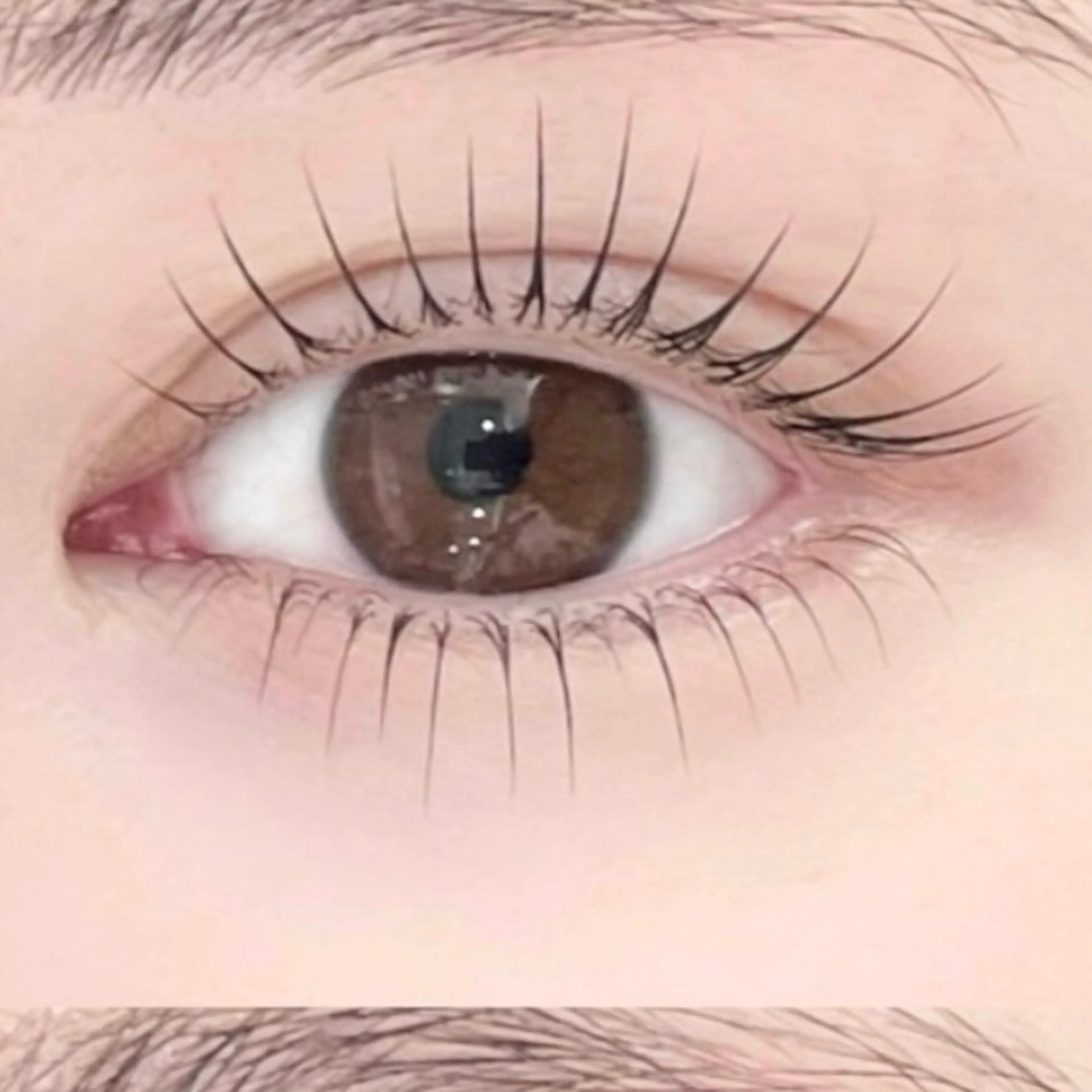 ✨🌷🫧【上下セット🎀】パリジェンヌラッシュリフト上下✨💛ケラチントリートメント、コーティング付き✨😘の写真