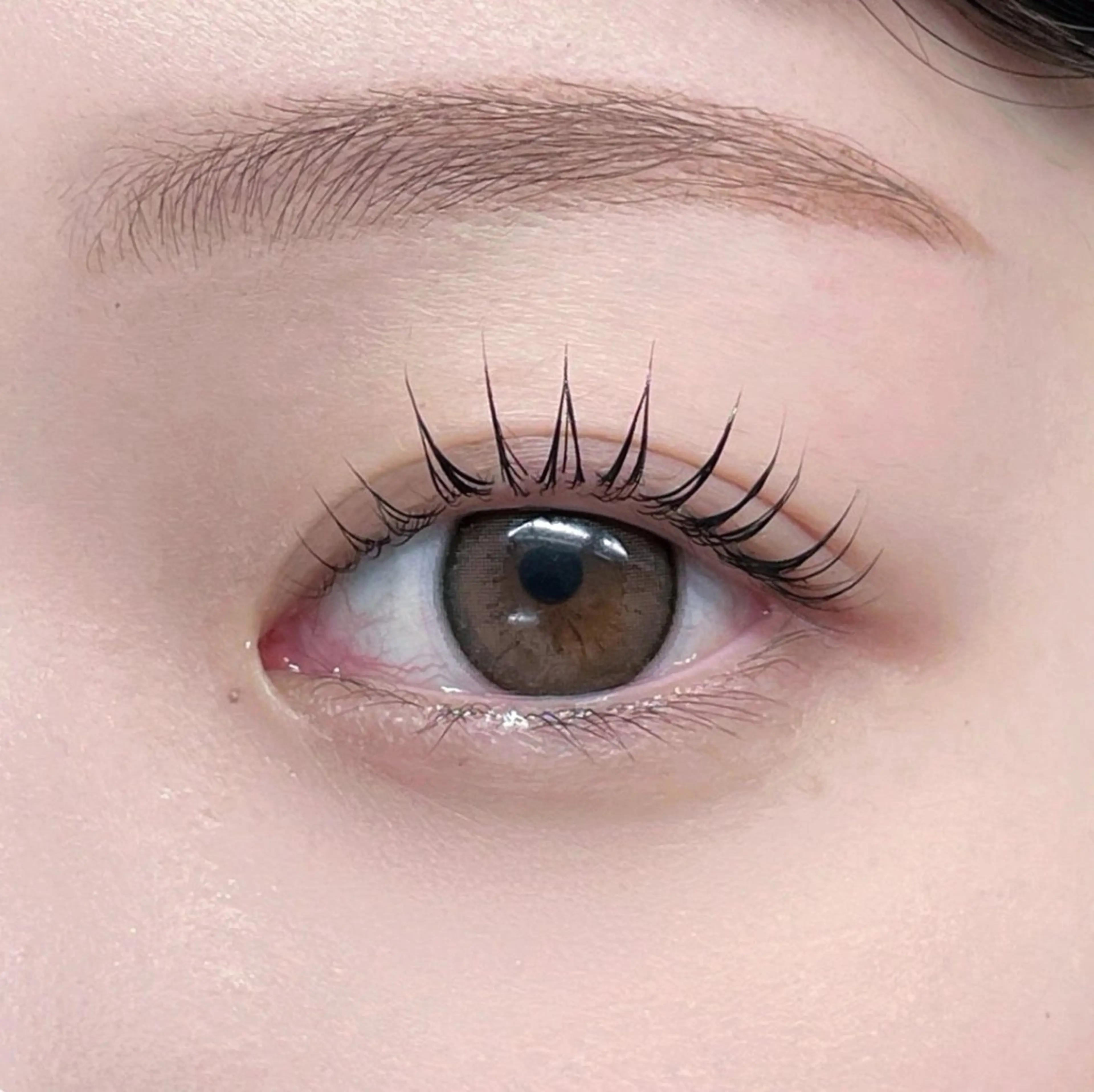 【set】まつ毛パーマ×眉WAXの写真