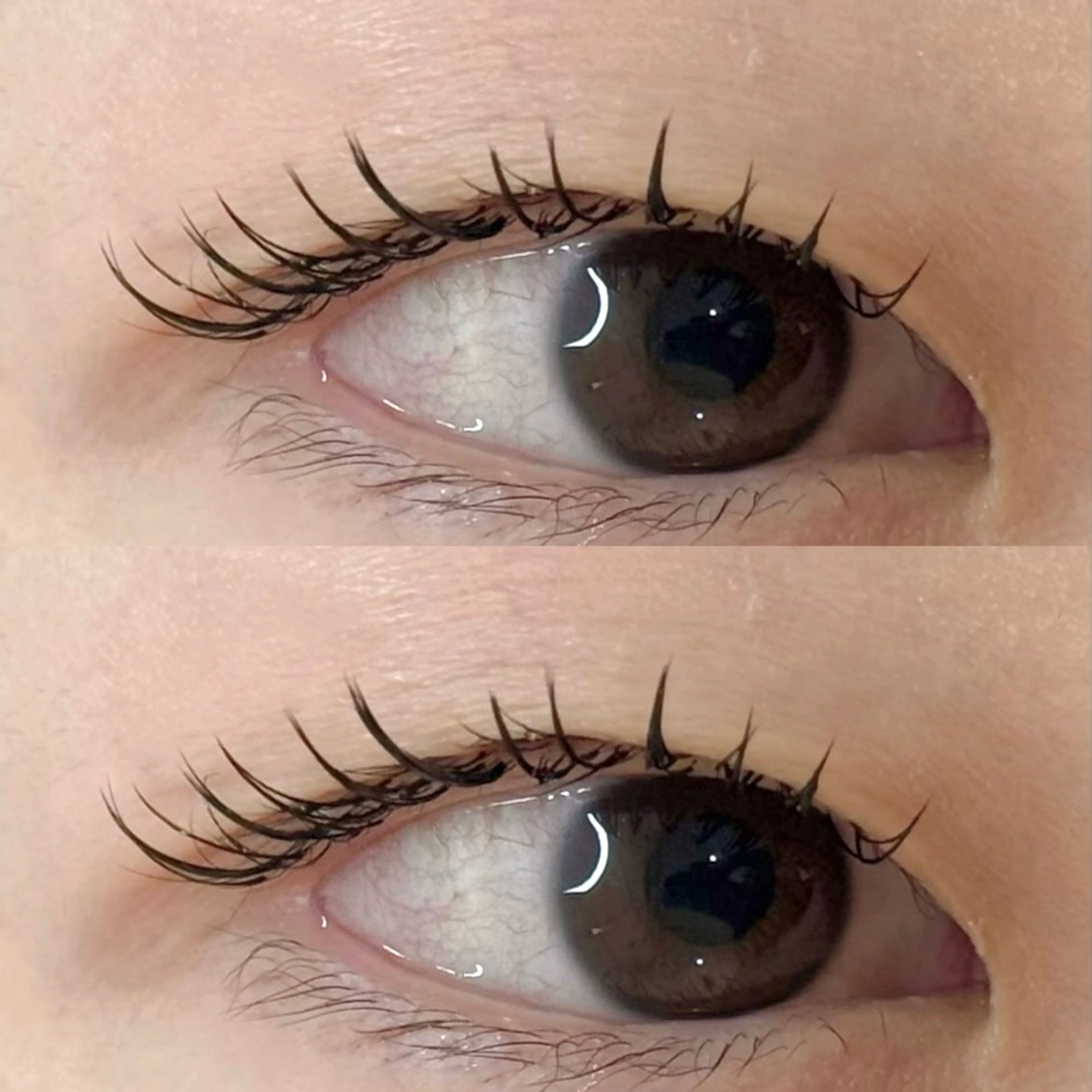 マツエク・マツパ M🐰 上本町/谷九のマツエク・マツパデザイン