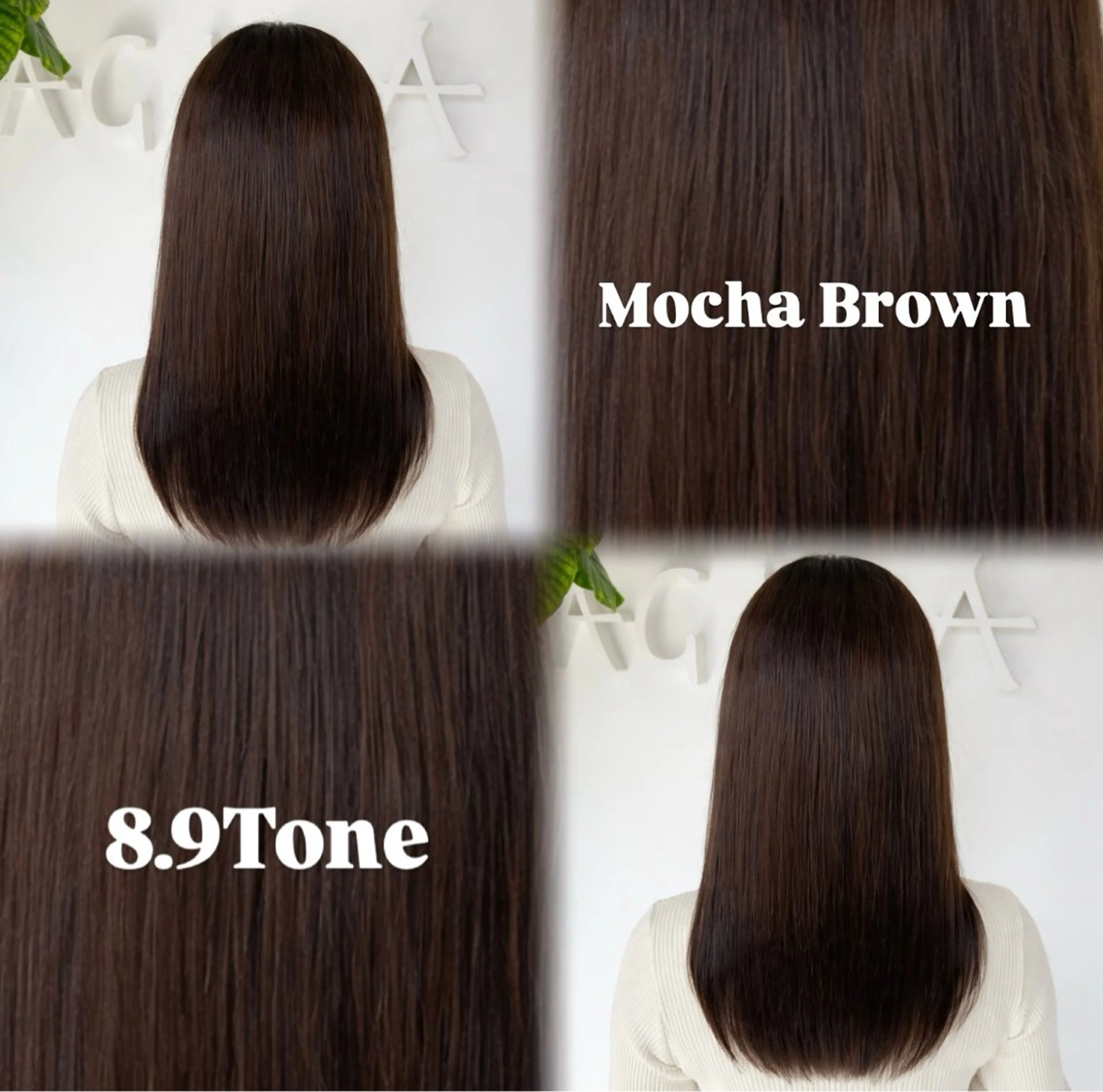 カラー NEIRO/透明感 カラー/グレージュのヘアスタイル