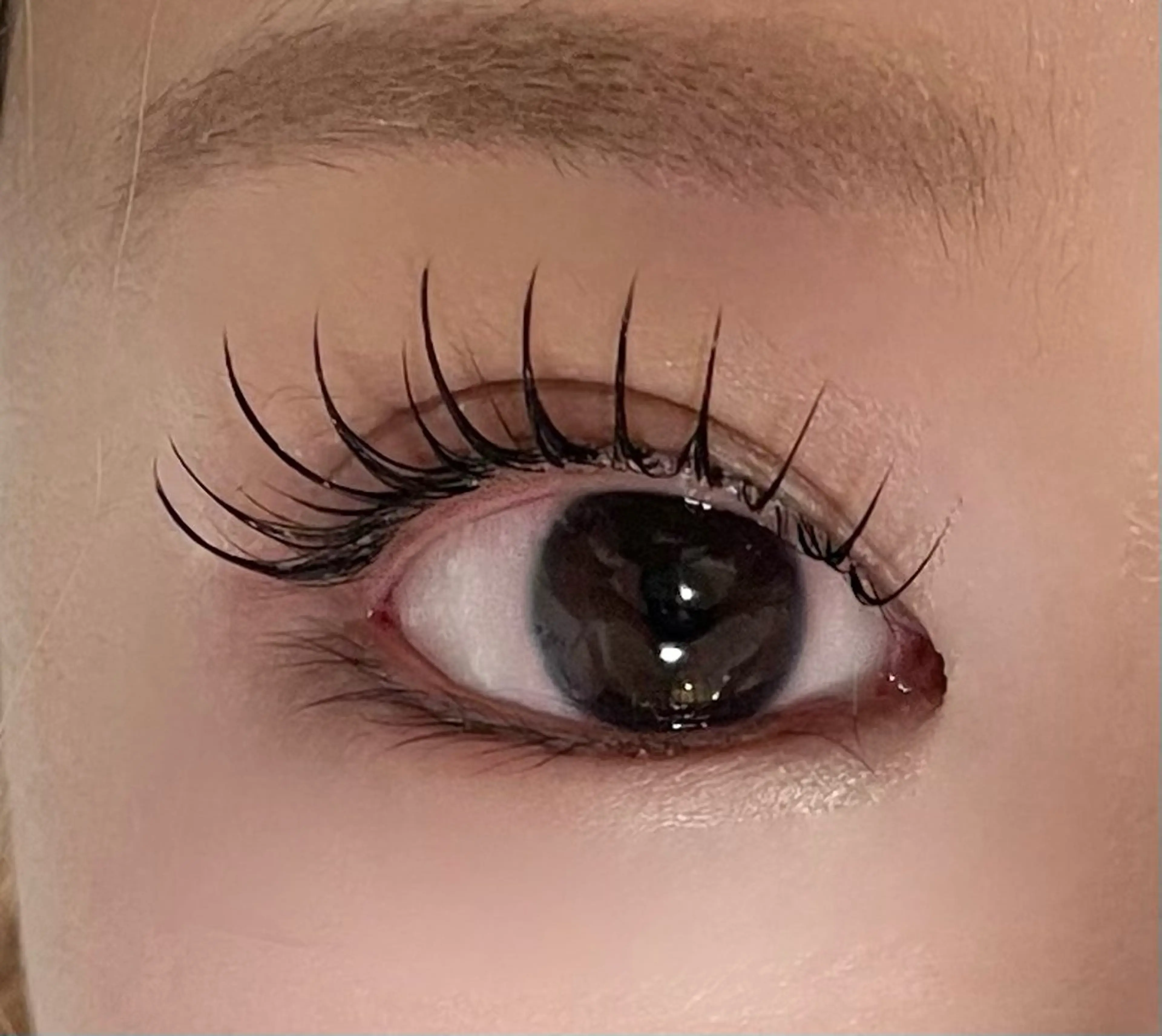 マツエク・マツパ マリーテレジア🩵 IIDAのマツエク・マツパデザイン