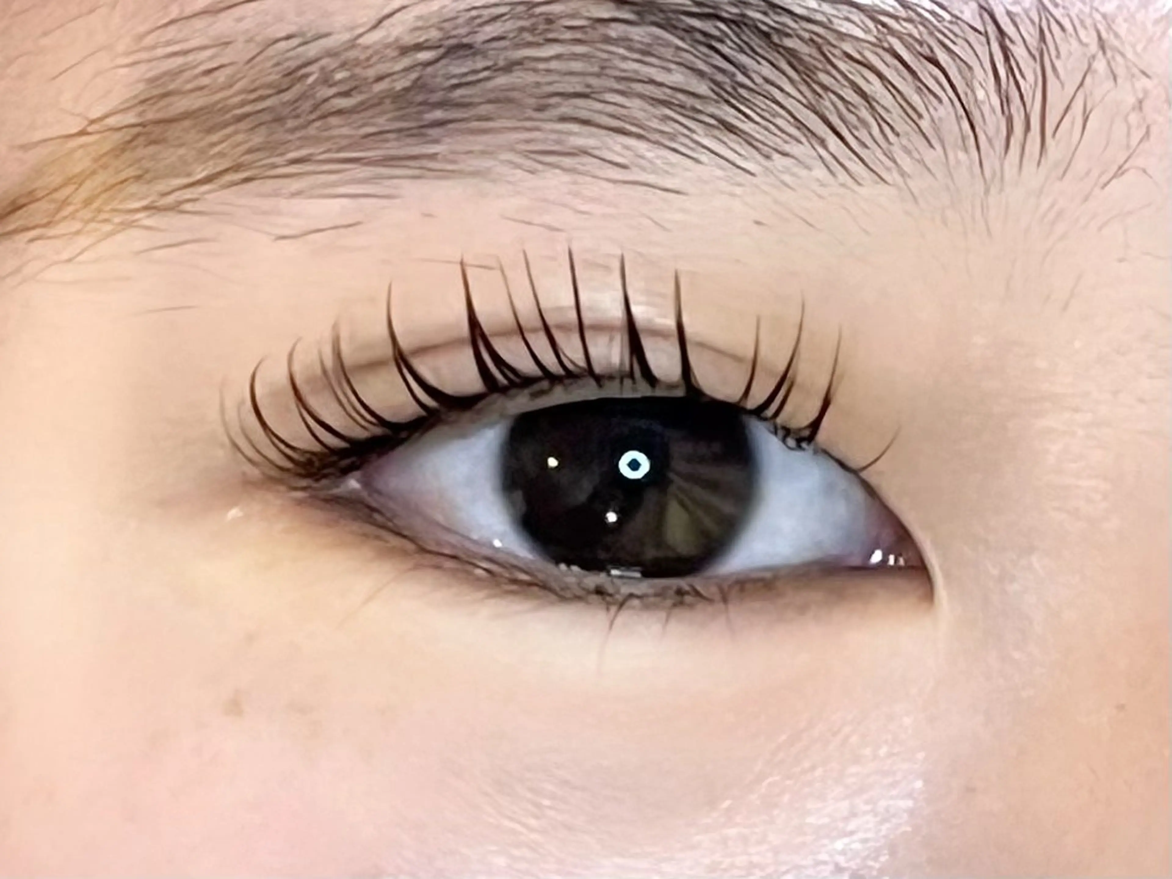 マツエク・マツパ Honey&Miel YUI🐱🐾のマツエク・マツパデザイン