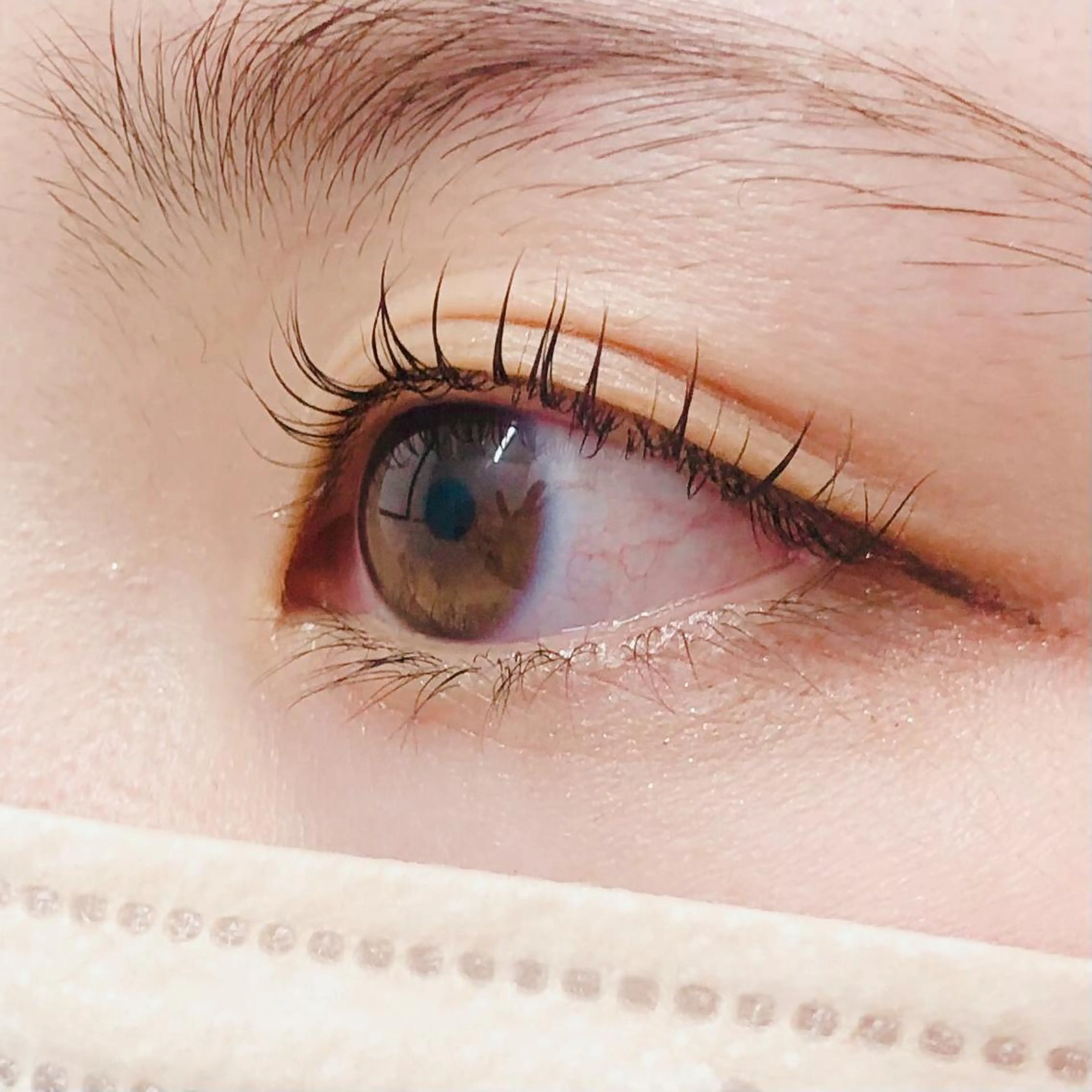 カール、立ち上げ選べるラッシュリフト💕美容液成分配合コーティング付🌟の写真