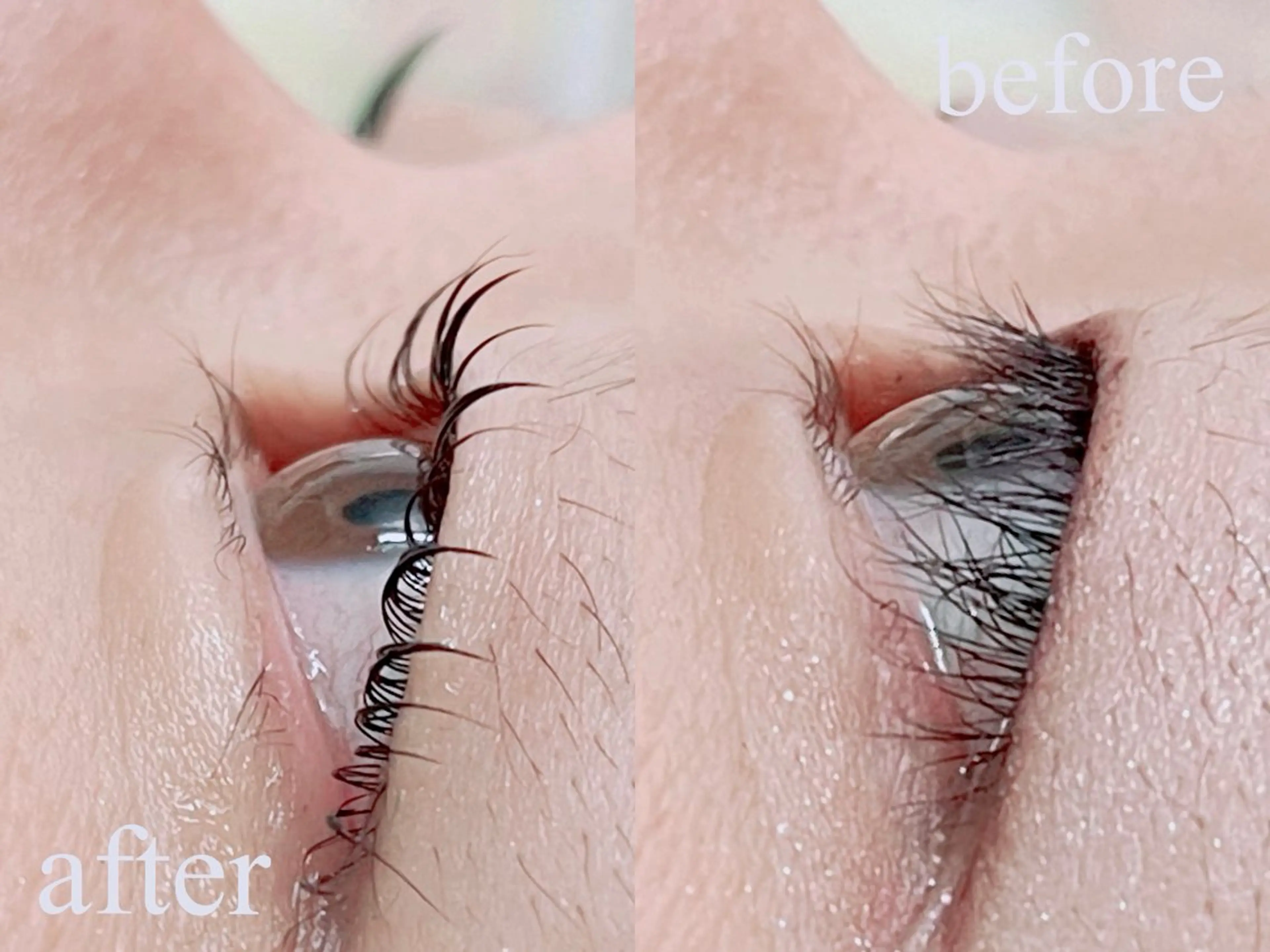 【ご新規様】人気No.1☆トリートメントラッシュリフトの写真