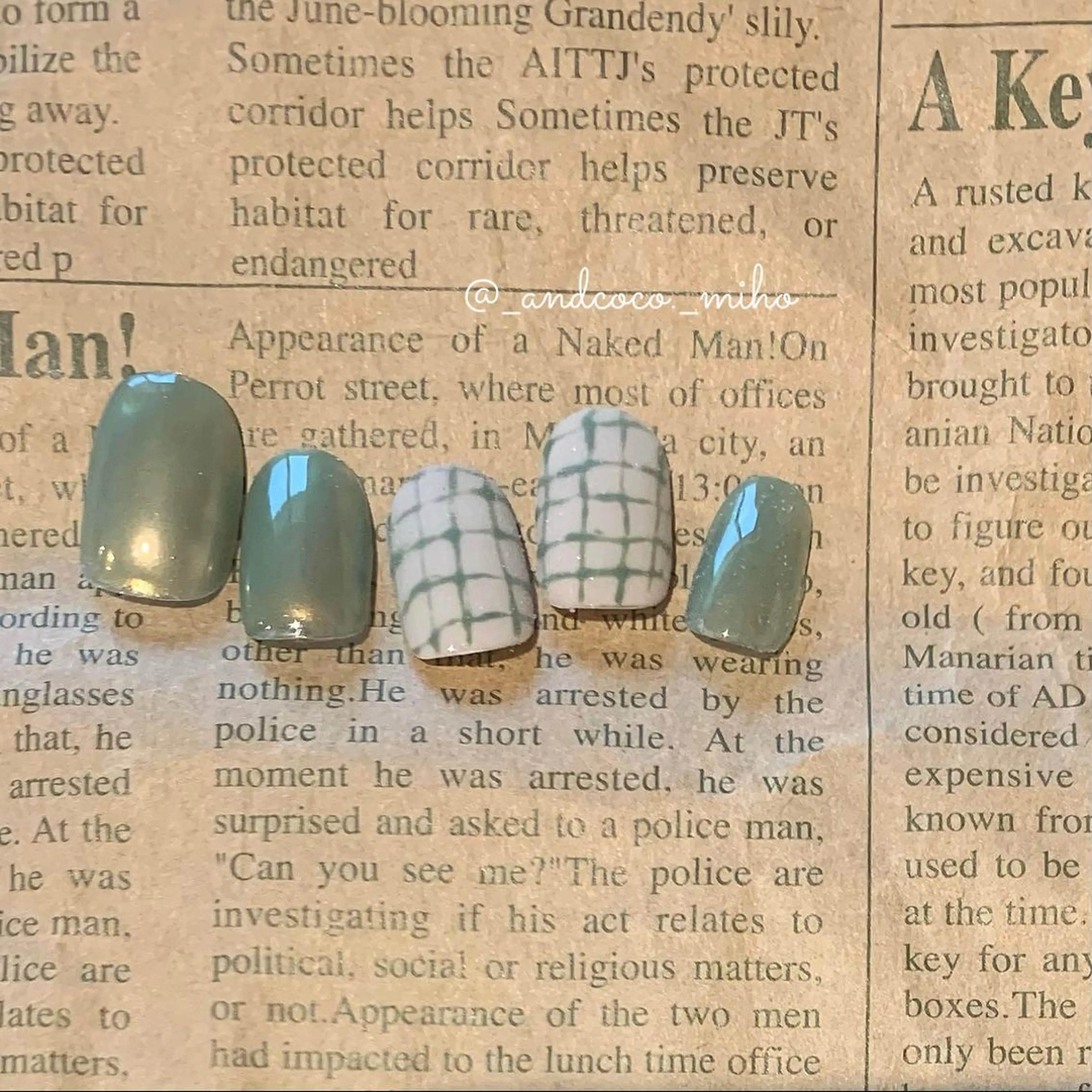 ネイル ハンドネイル Nailist〻 mihoのネイルデザイン