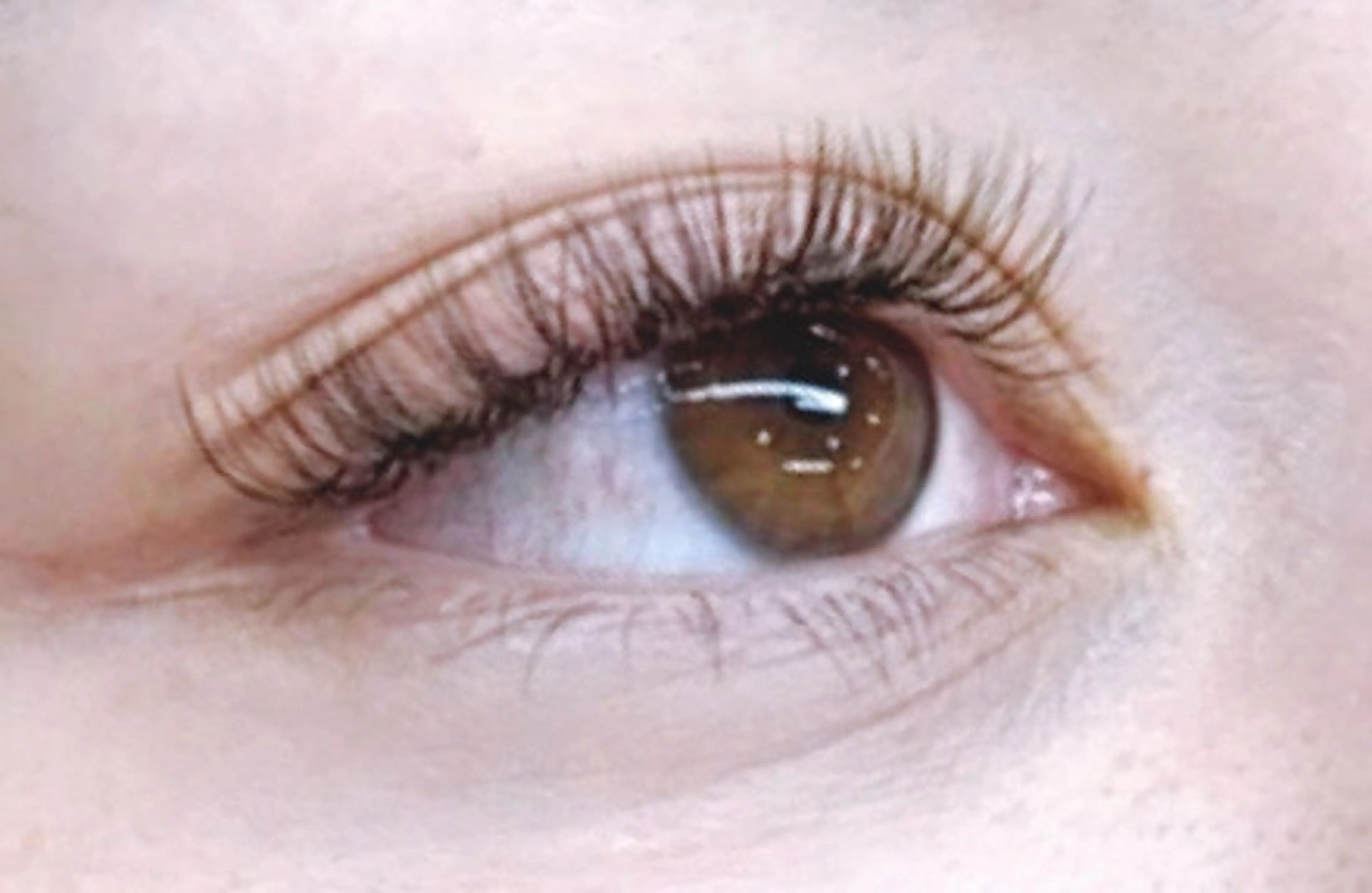 🌸フラットラッシュ【140本まで】LED変更別途1000円 ボリュームラッシュ変更可能の写真