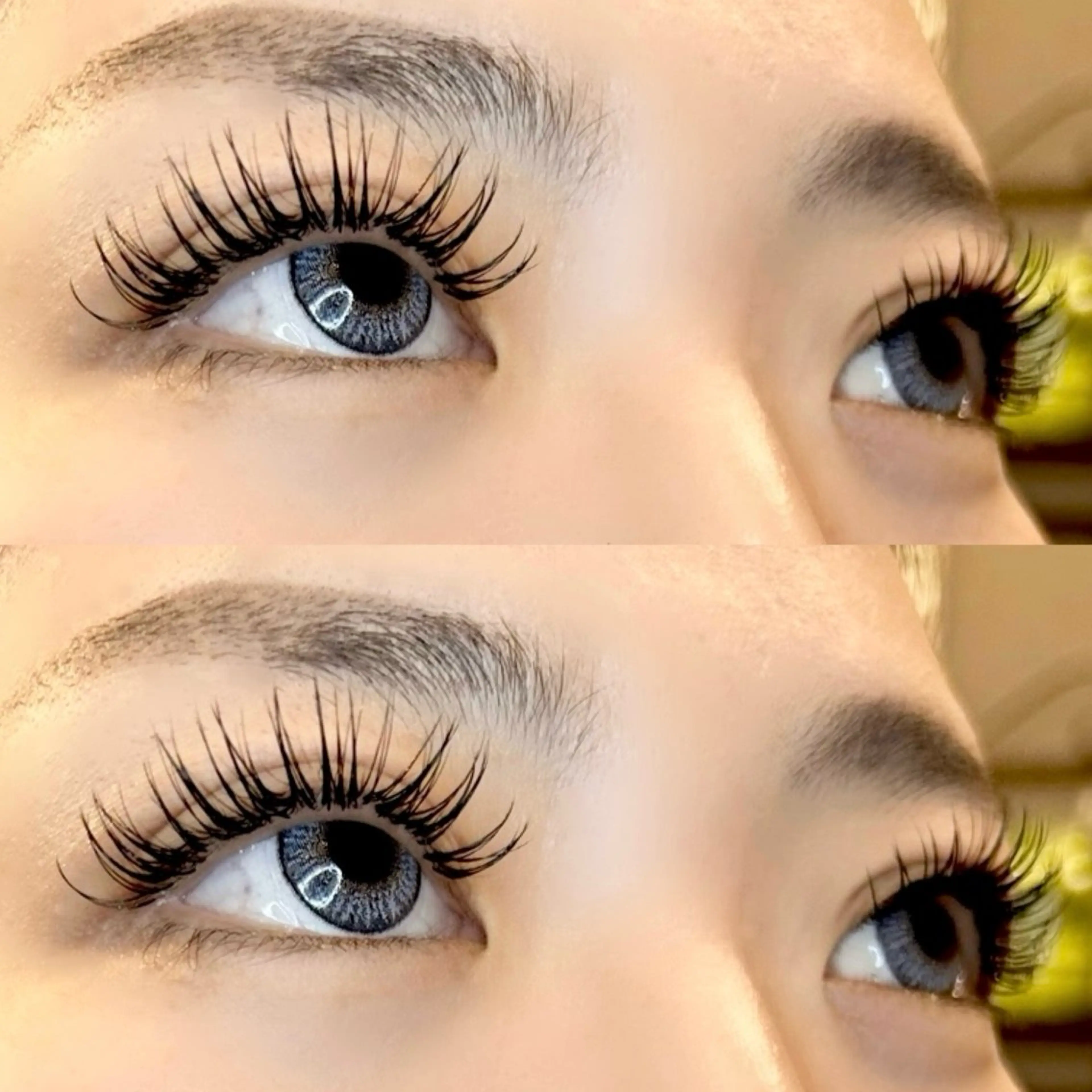 🩵シングルラッシュつけ放題🐶の写真