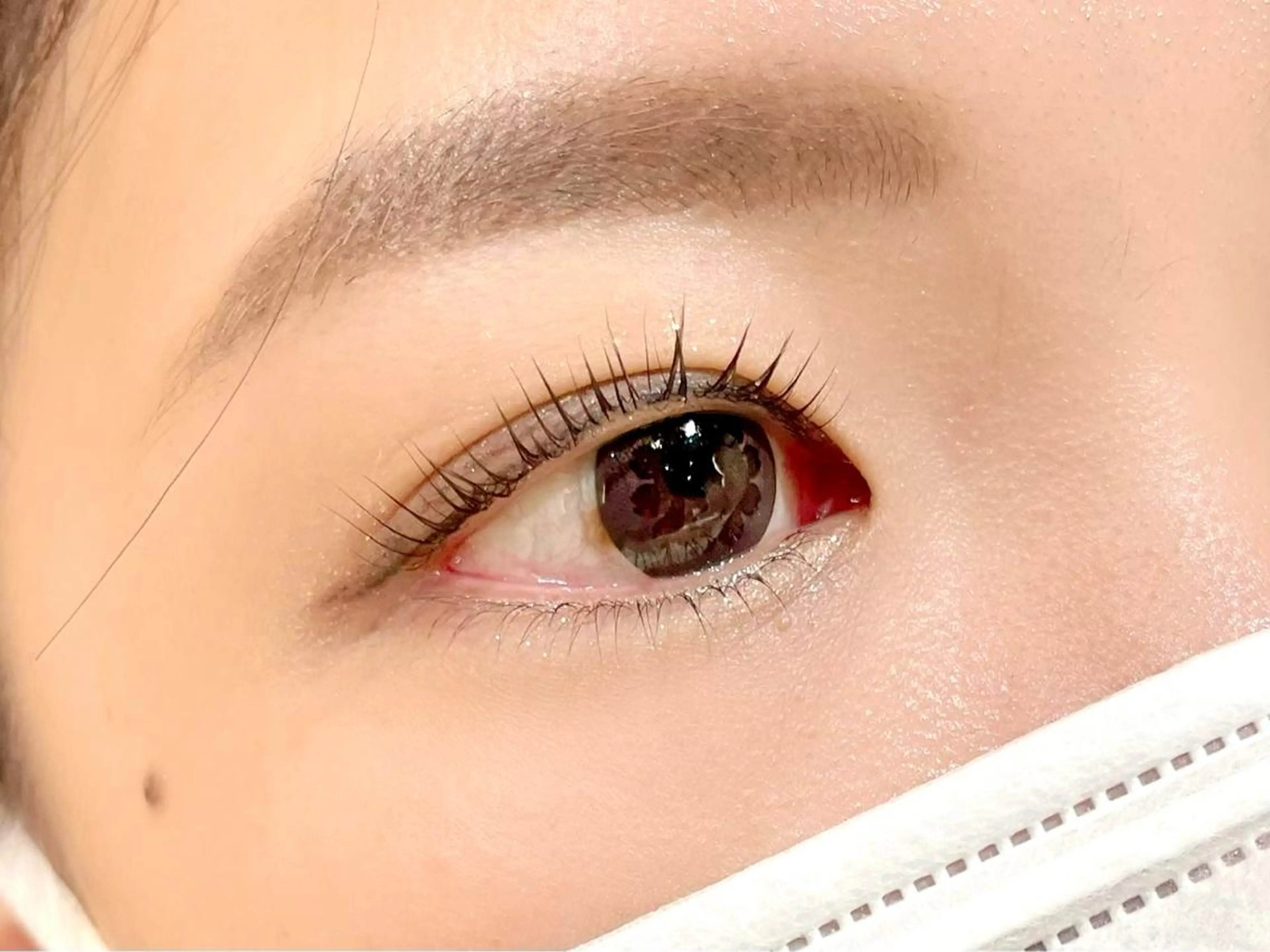 🦋パリジェンヌ×眉wax🦋の写真