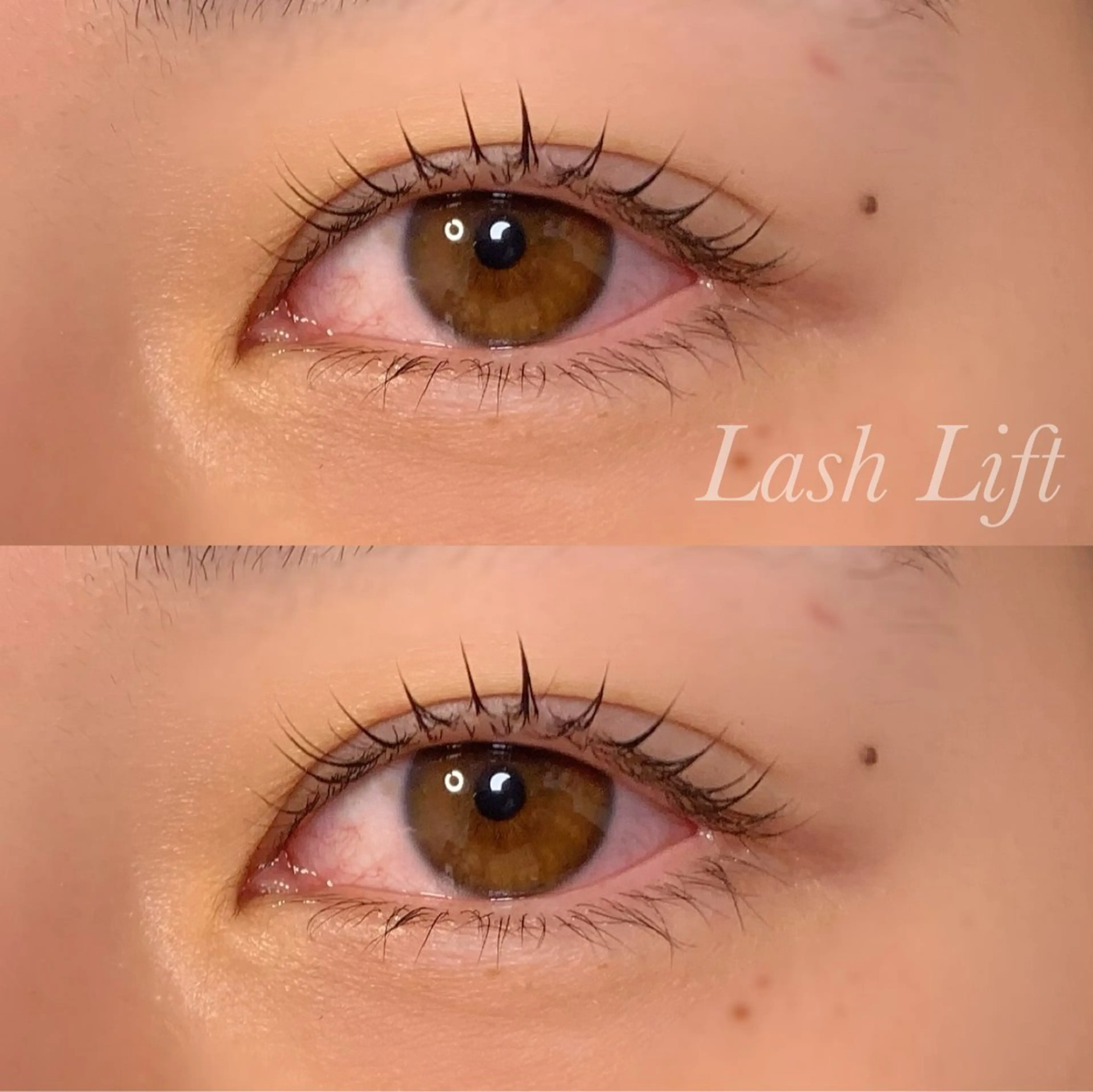 まつ毛パーマ🖤【 初回​〜​3回目まで 】の写真