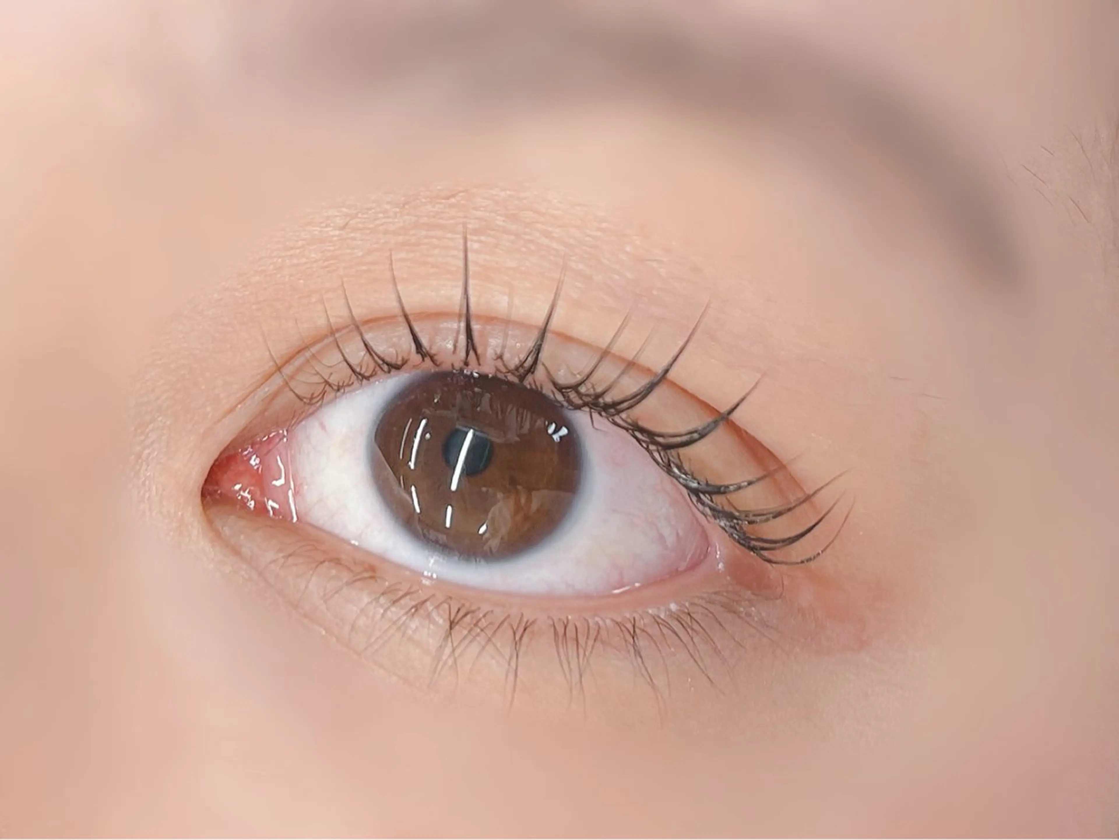 💠SNS用の撮影okな方限定💠まつ毛パーマorパリジェンヌラッシュリフトの写真