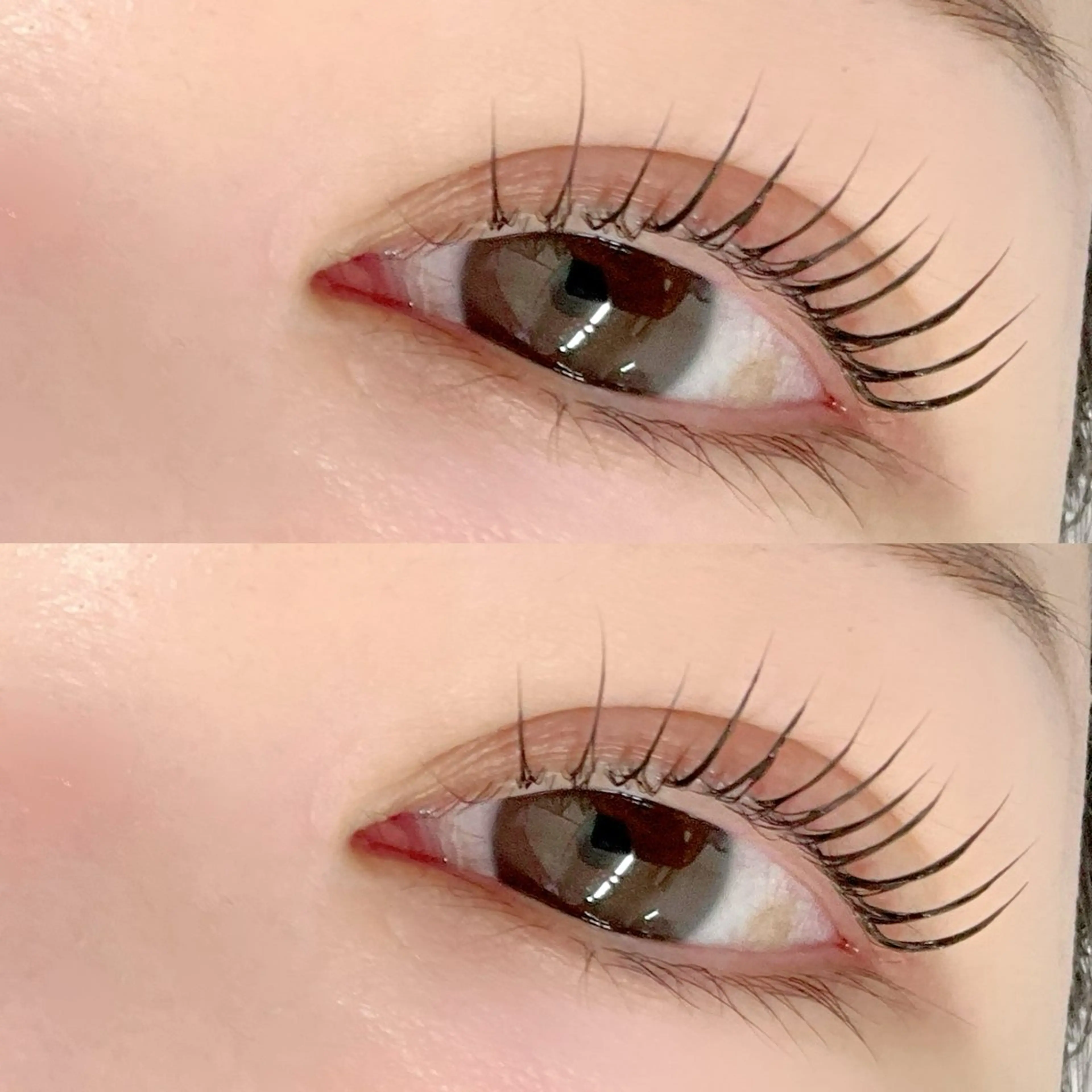 3回目まで/新店舗Open記念限定🎀上下パリジェンヌ/まつ毛パーマセット🎀8600円→7000円の写真